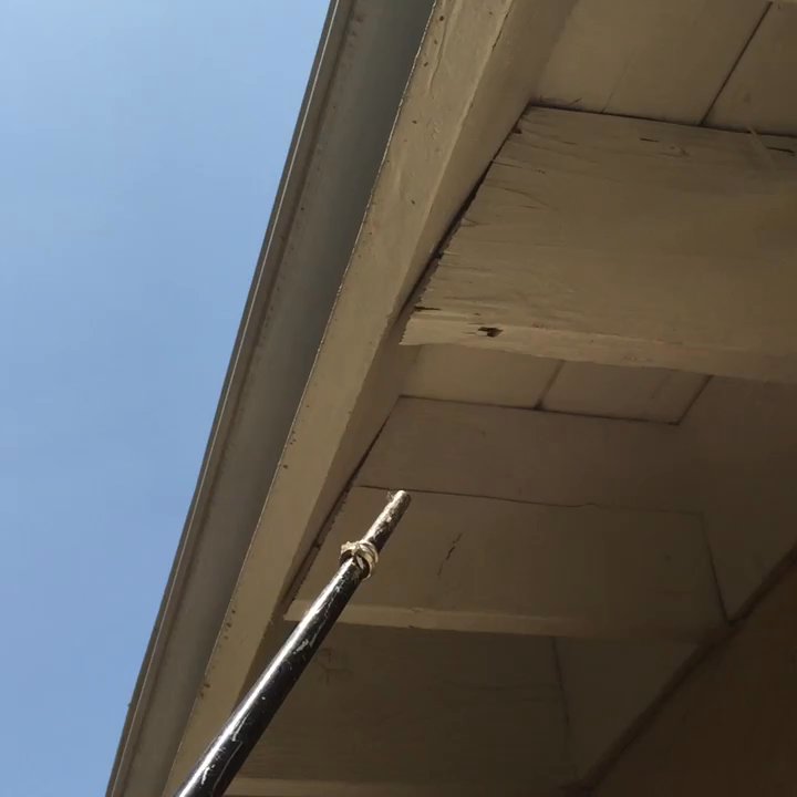 Downey Exterminators - Drywood termite damage - Pest Control Near Me - Downey, California