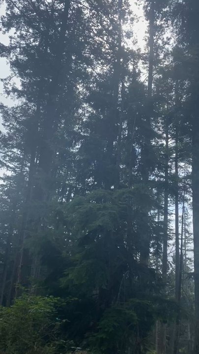 Moran State Park - Scenic views - Parks Near Me - Eastsound, Washington