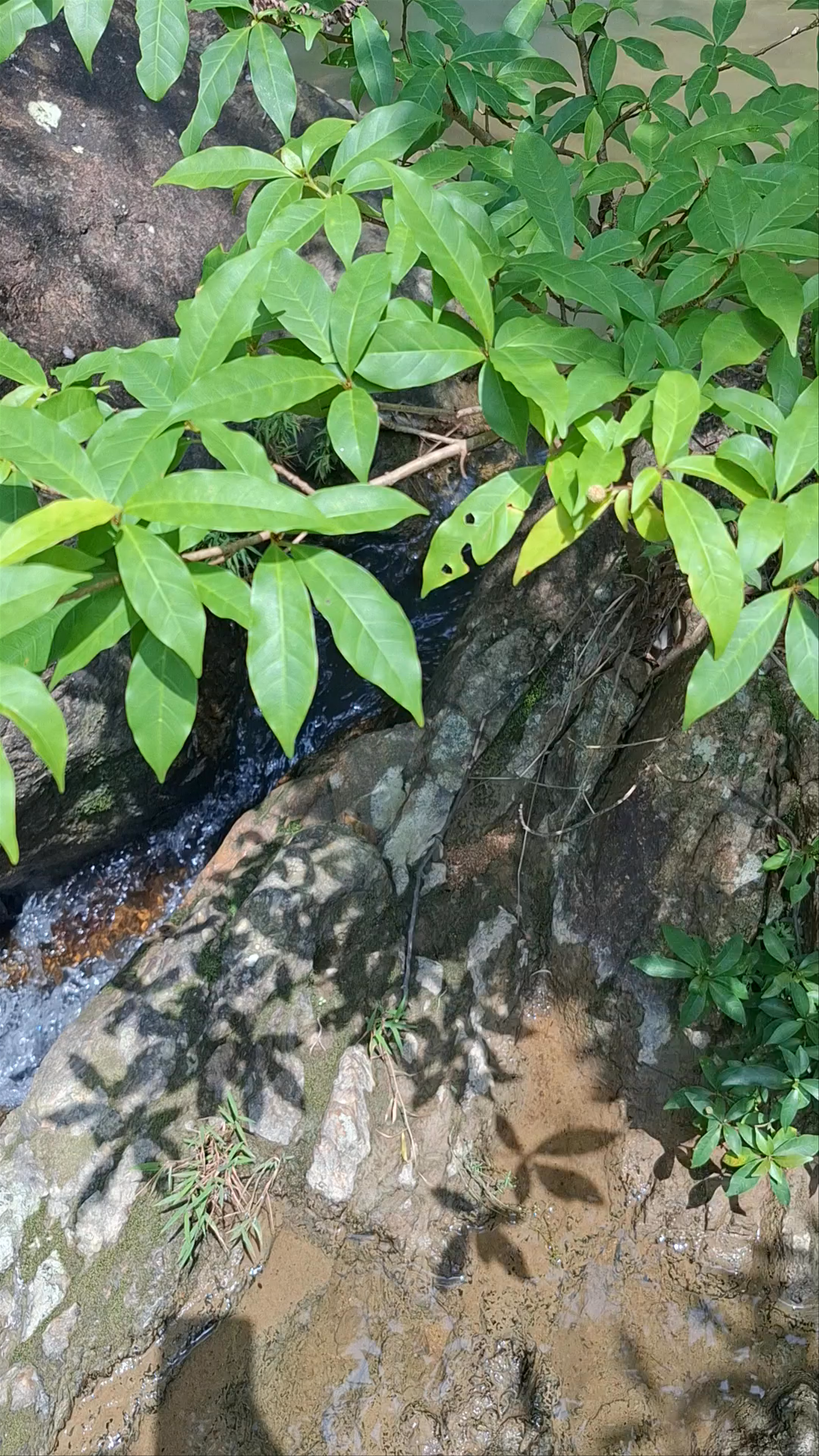 Hidden Waterfall Oasis near Discovery Bay, Hong Kong