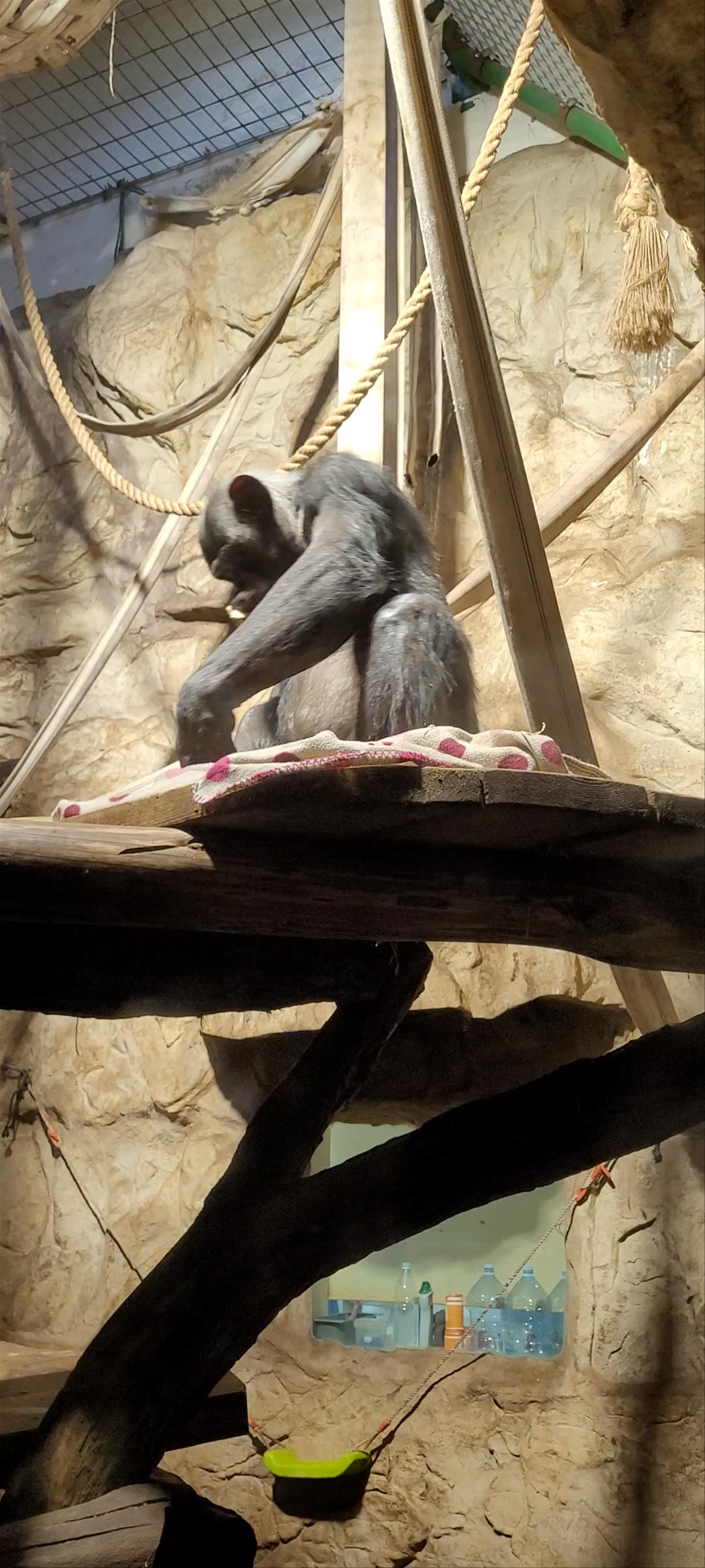 City Zoological Garden in Warsaw