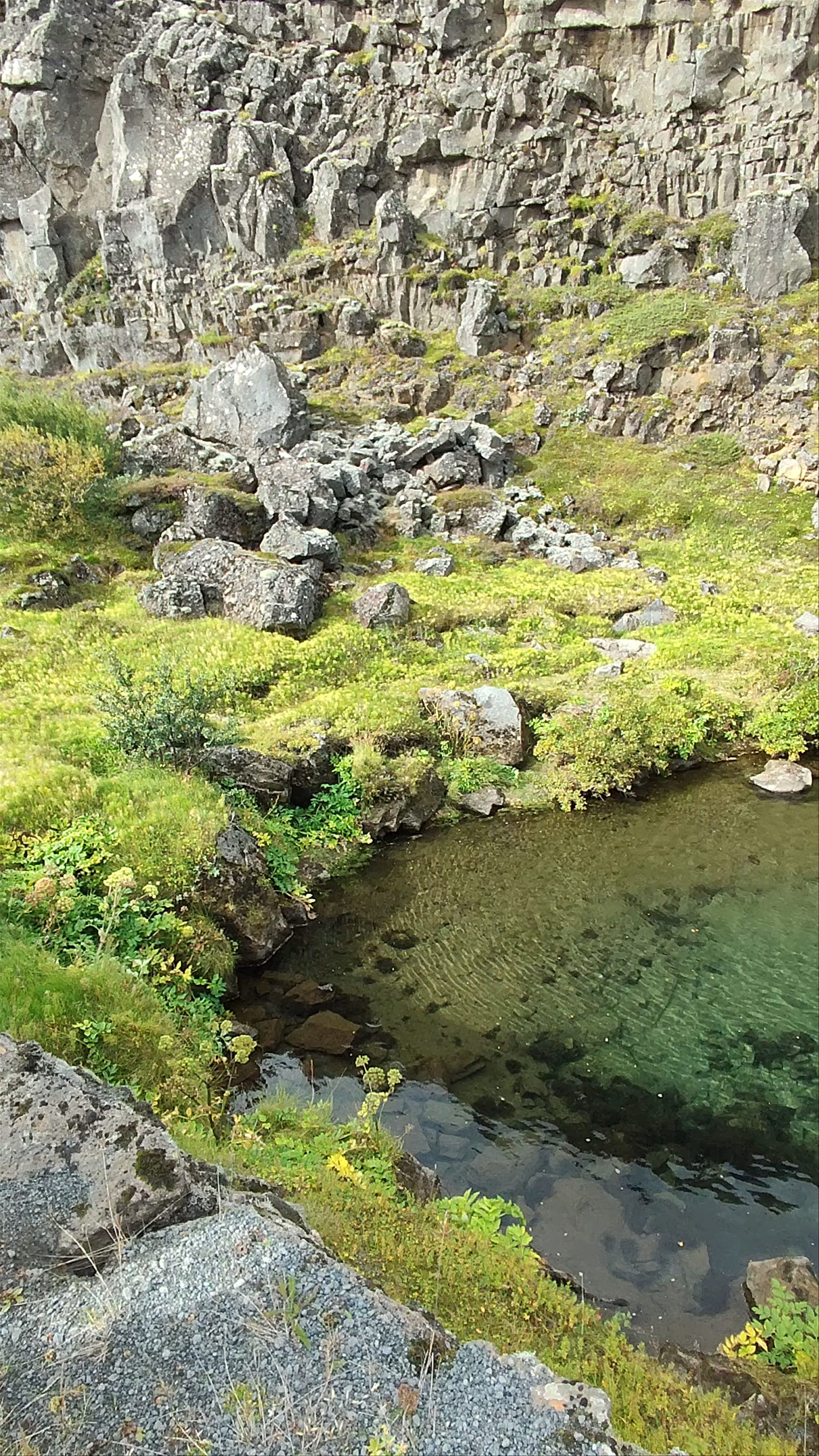 Þingvellir National Park