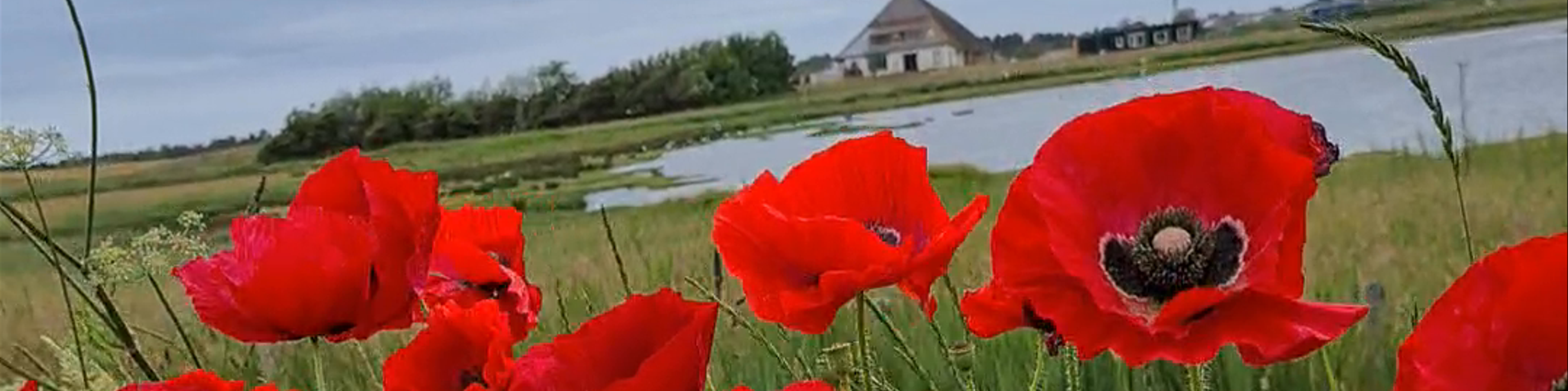 Den Burg