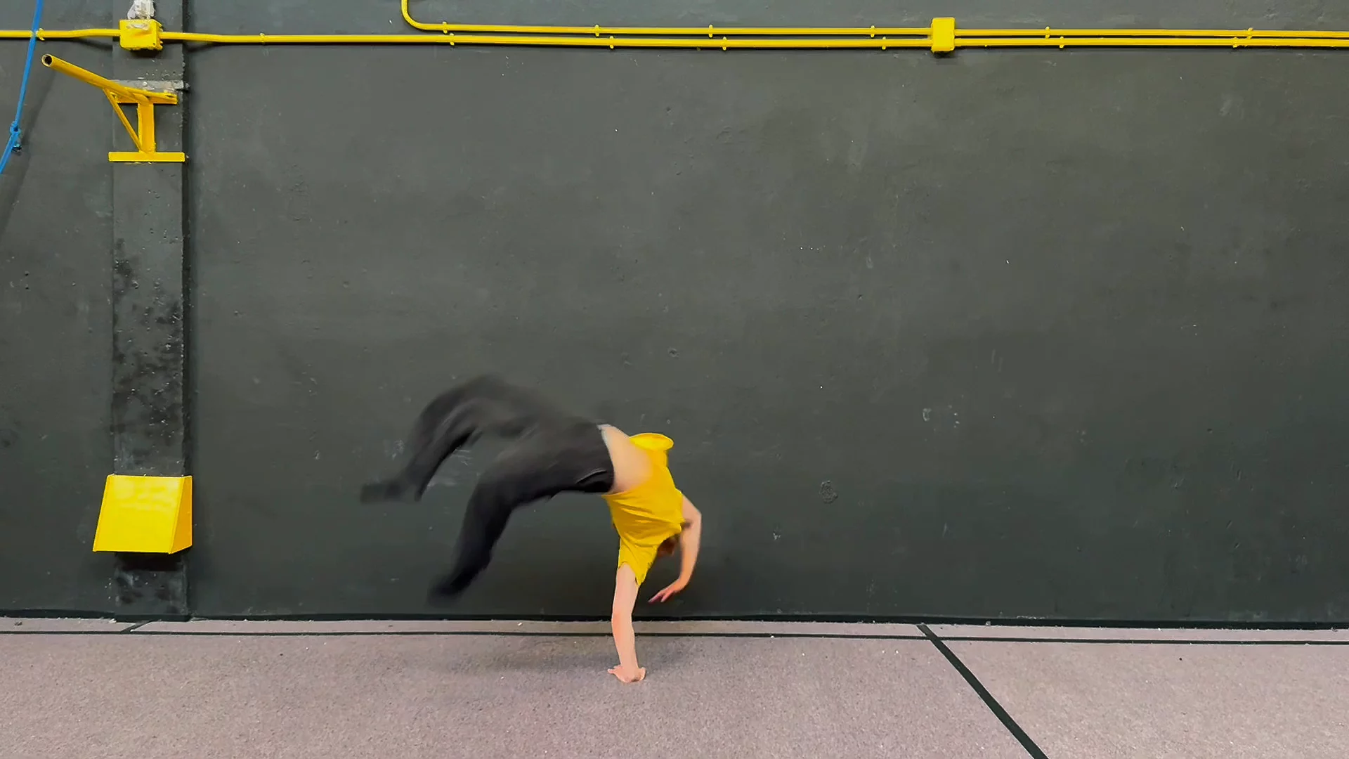 Macaco