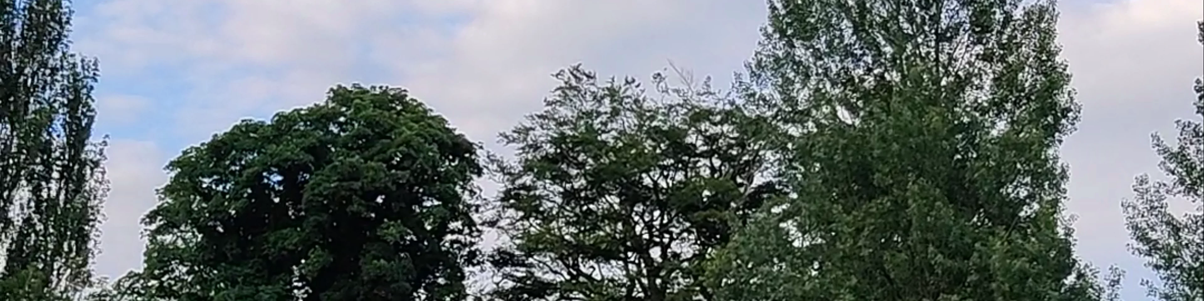 Gooseholme Park