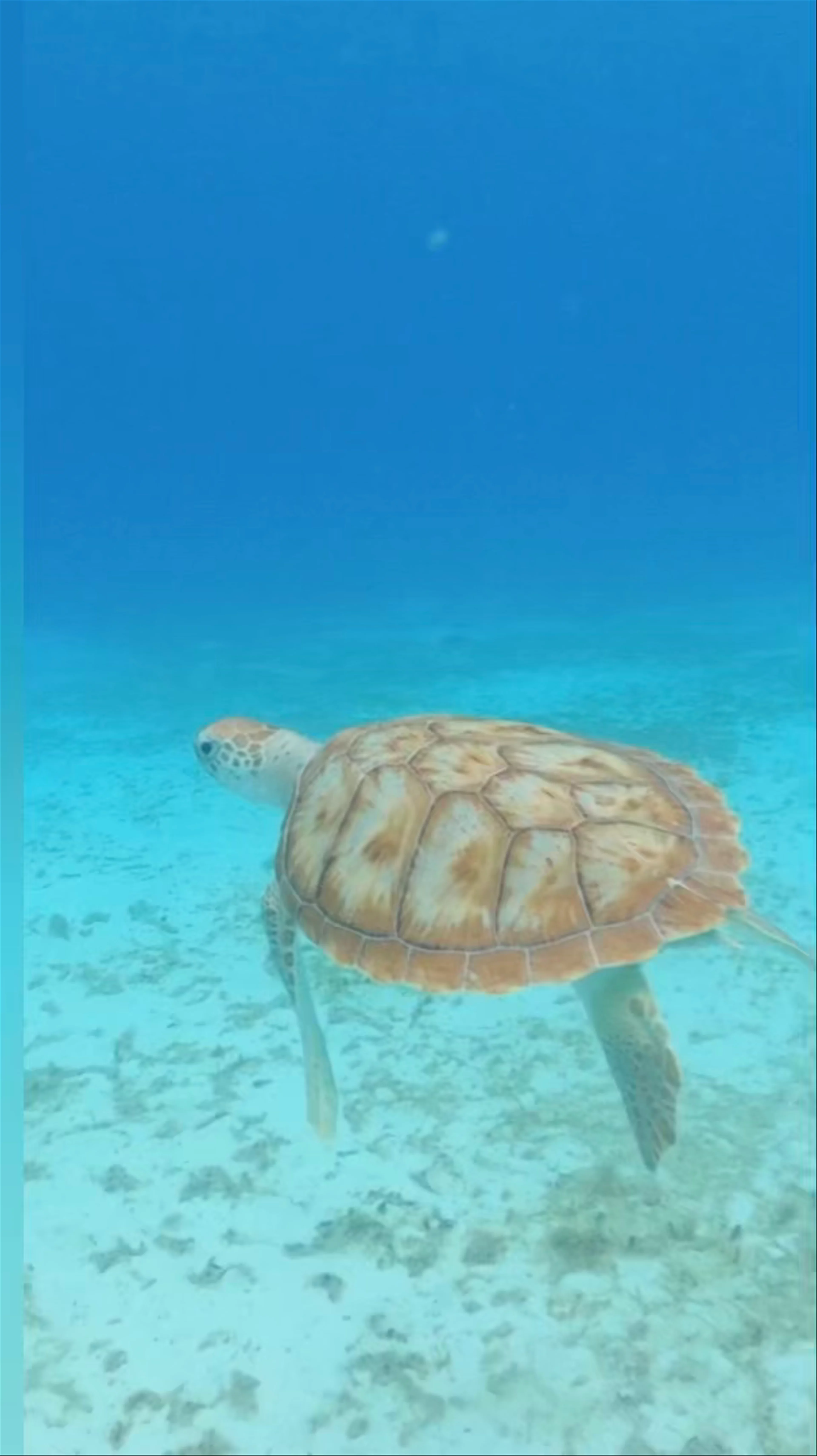 Carlisle Bay, Barbados