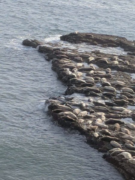 Photo of Santa cruz trip