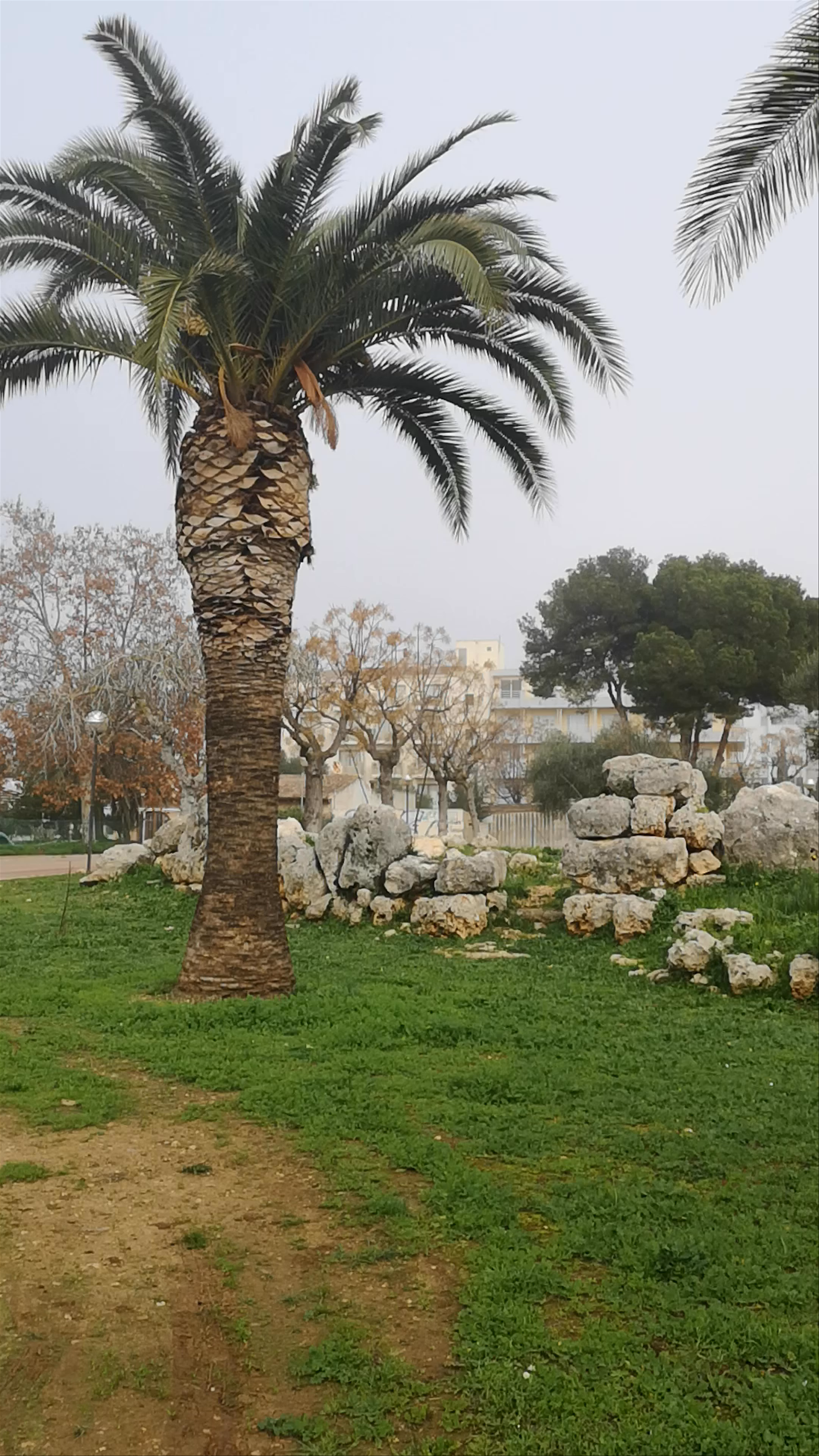 Discovering S'illot Prehistoric Site: A Tranquil Historical Escape in Balearic Islands