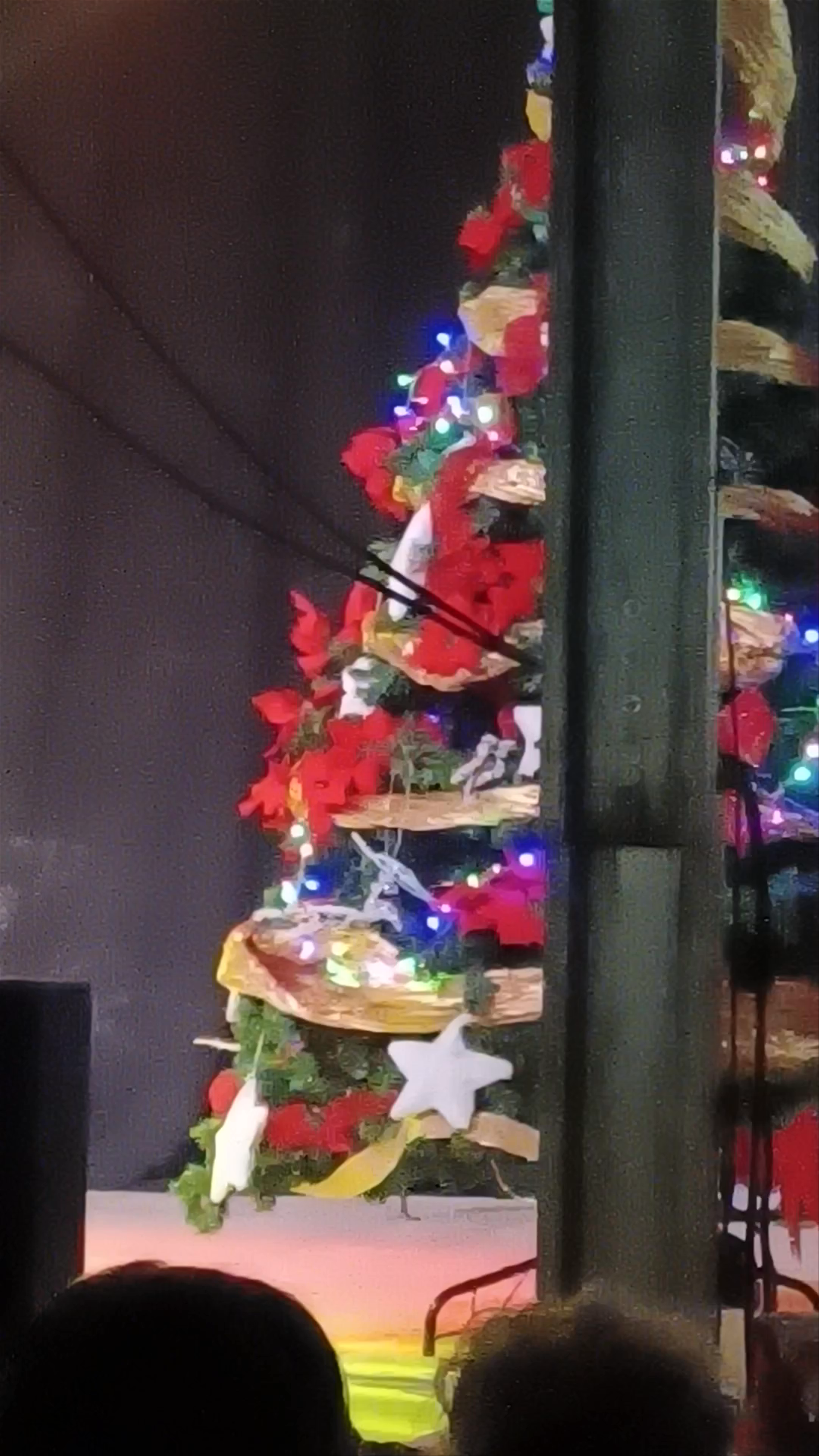 Festive Flamenco Dance and Christmas Celebration in Murcia, Spain