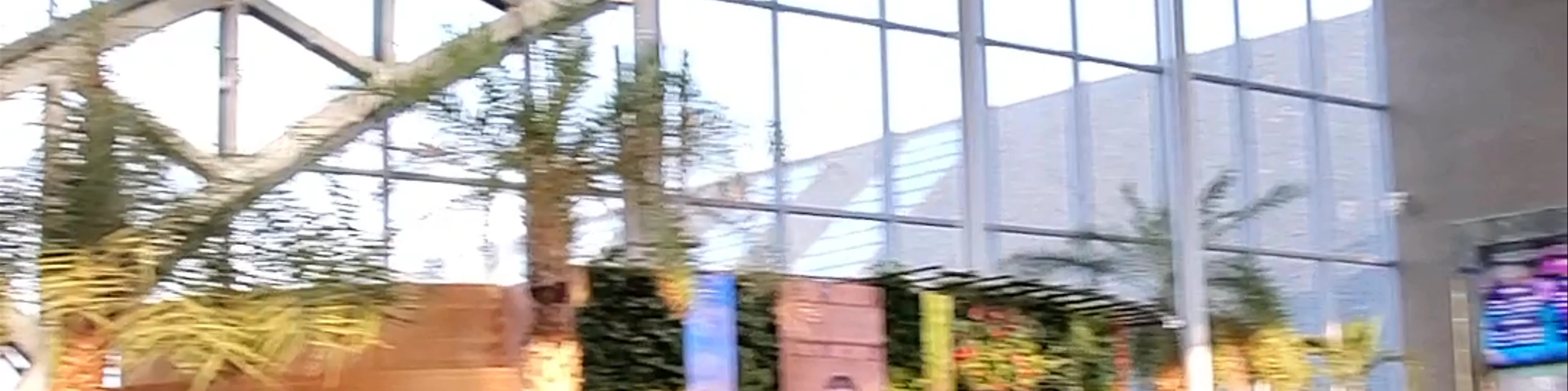 Therme Bucuresti