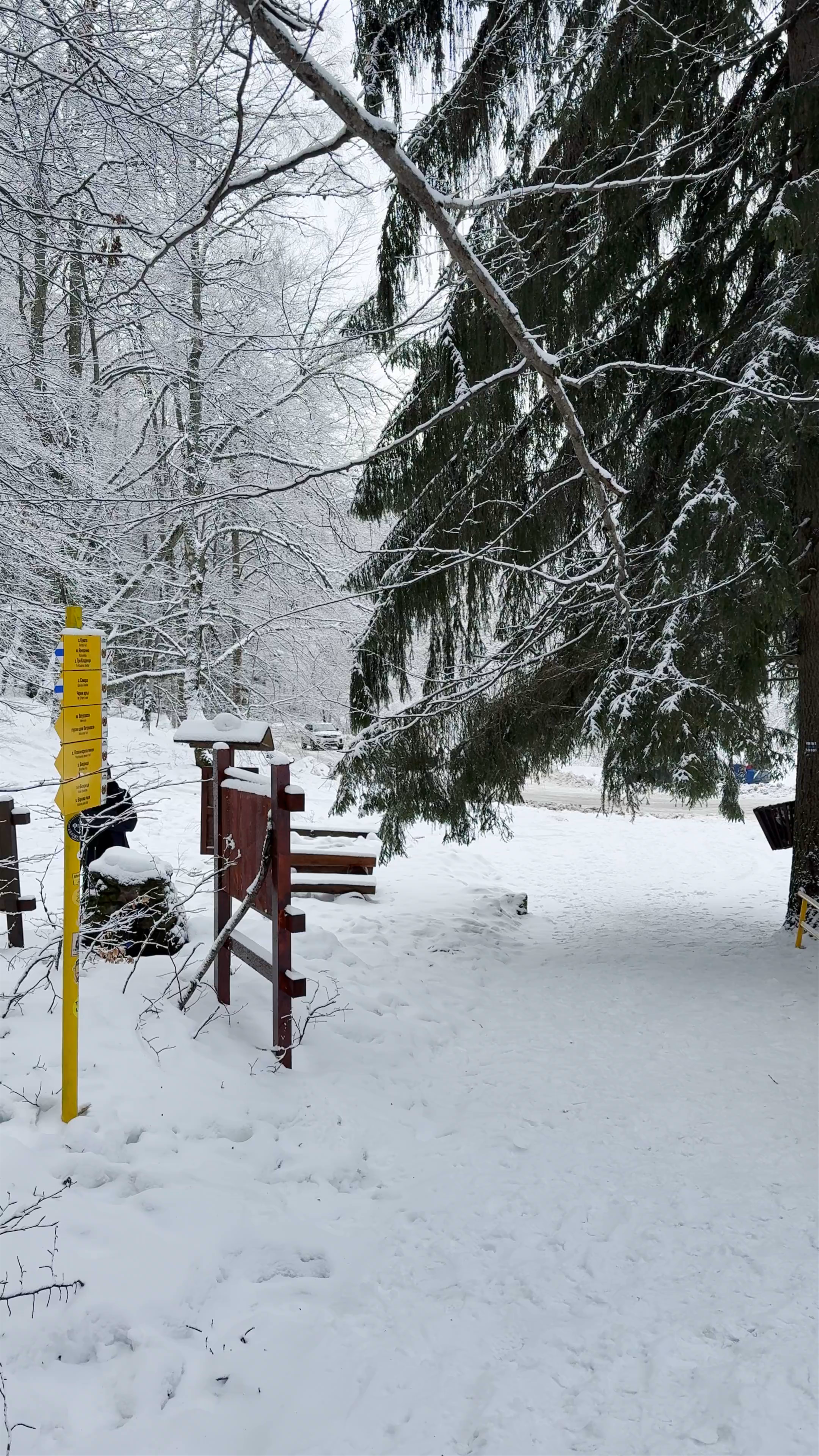Winter Wonderland Walk at Golden Bridges, Sofia, Bulgaria