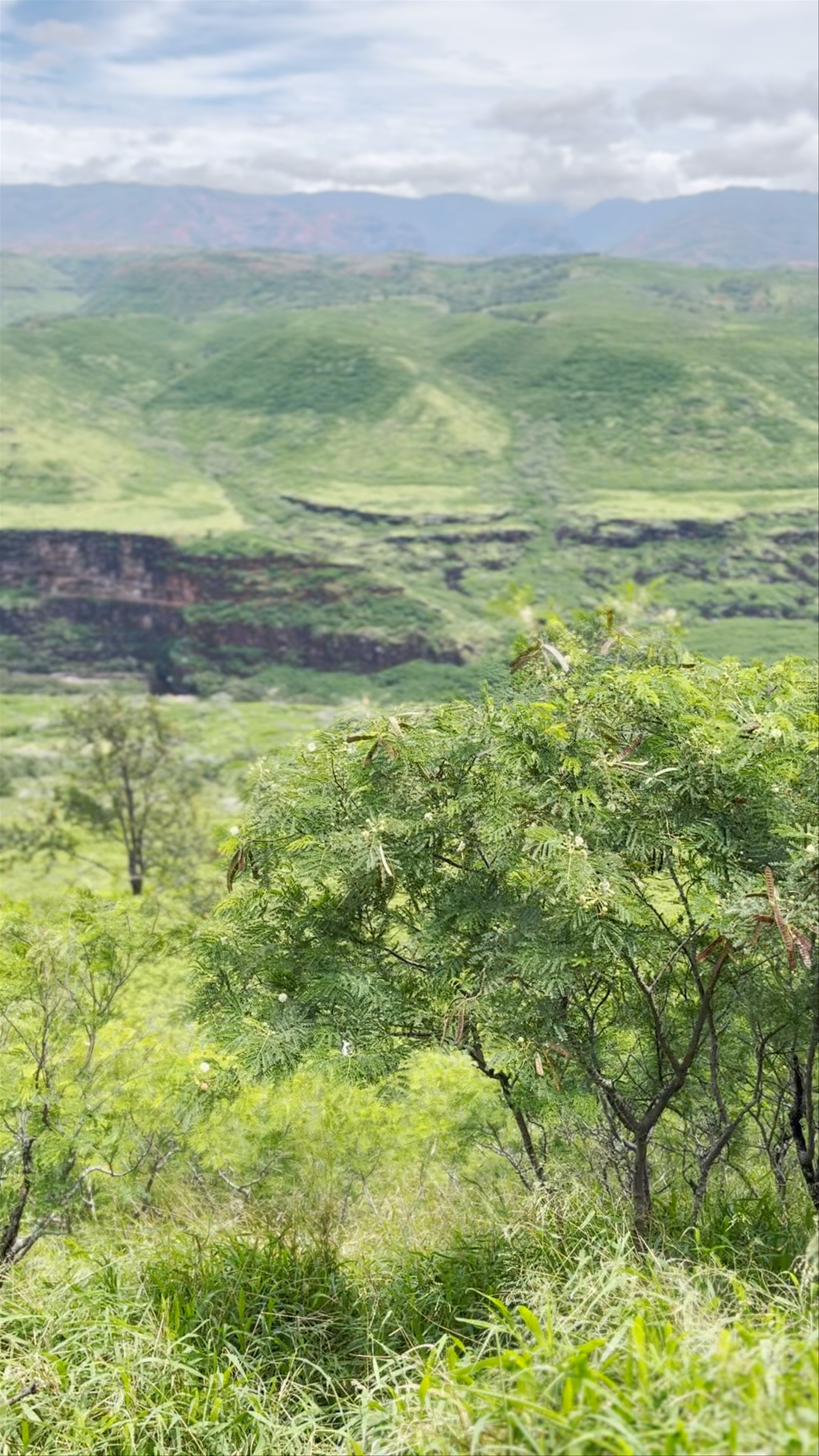 Canyon lookout with parking