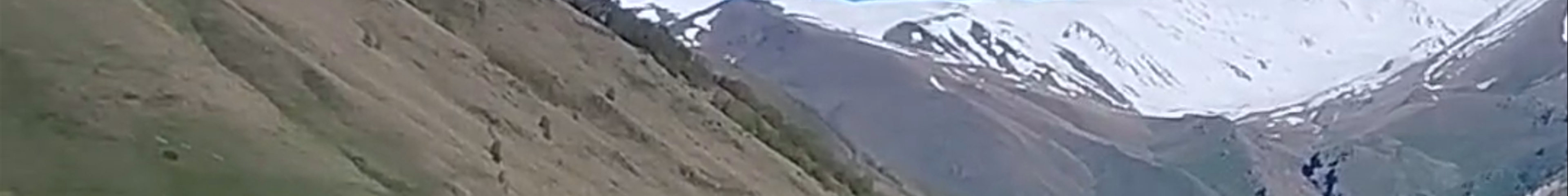 Tours & experiences in Gudauri