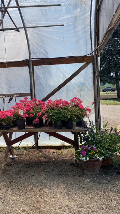 Bernards Farm - Farmers Market Near Me - McMinnville, Oregon