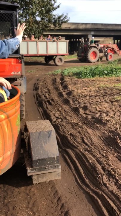 Johnson Farms - Fruits & Veggies Near Me - Eugene, Oregon
