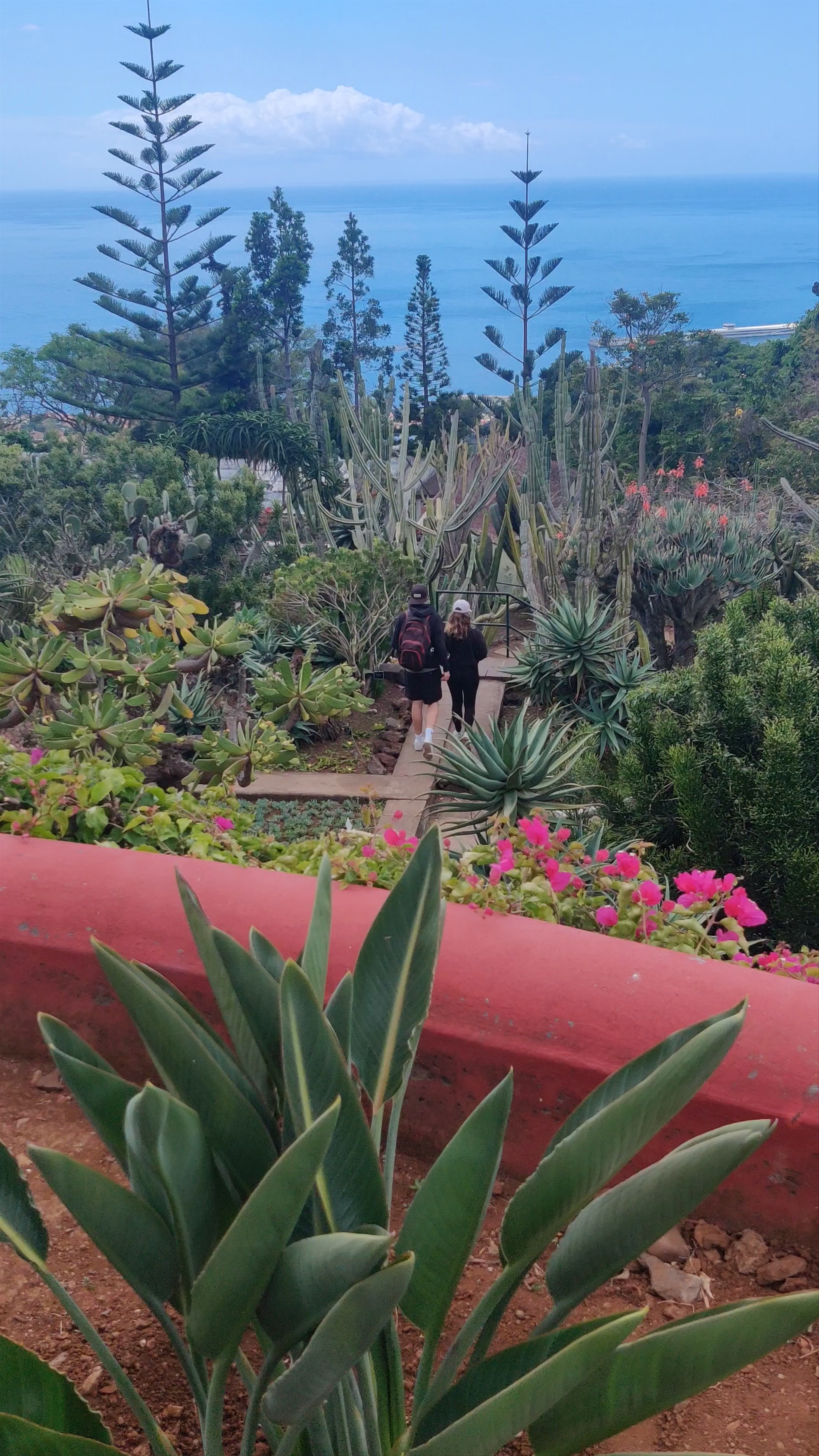 Jardim Botânico da Madeira