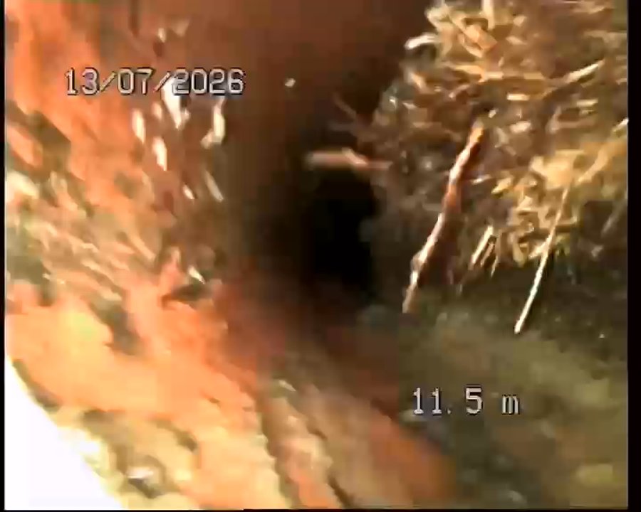 CCTV frame at 11.50 m