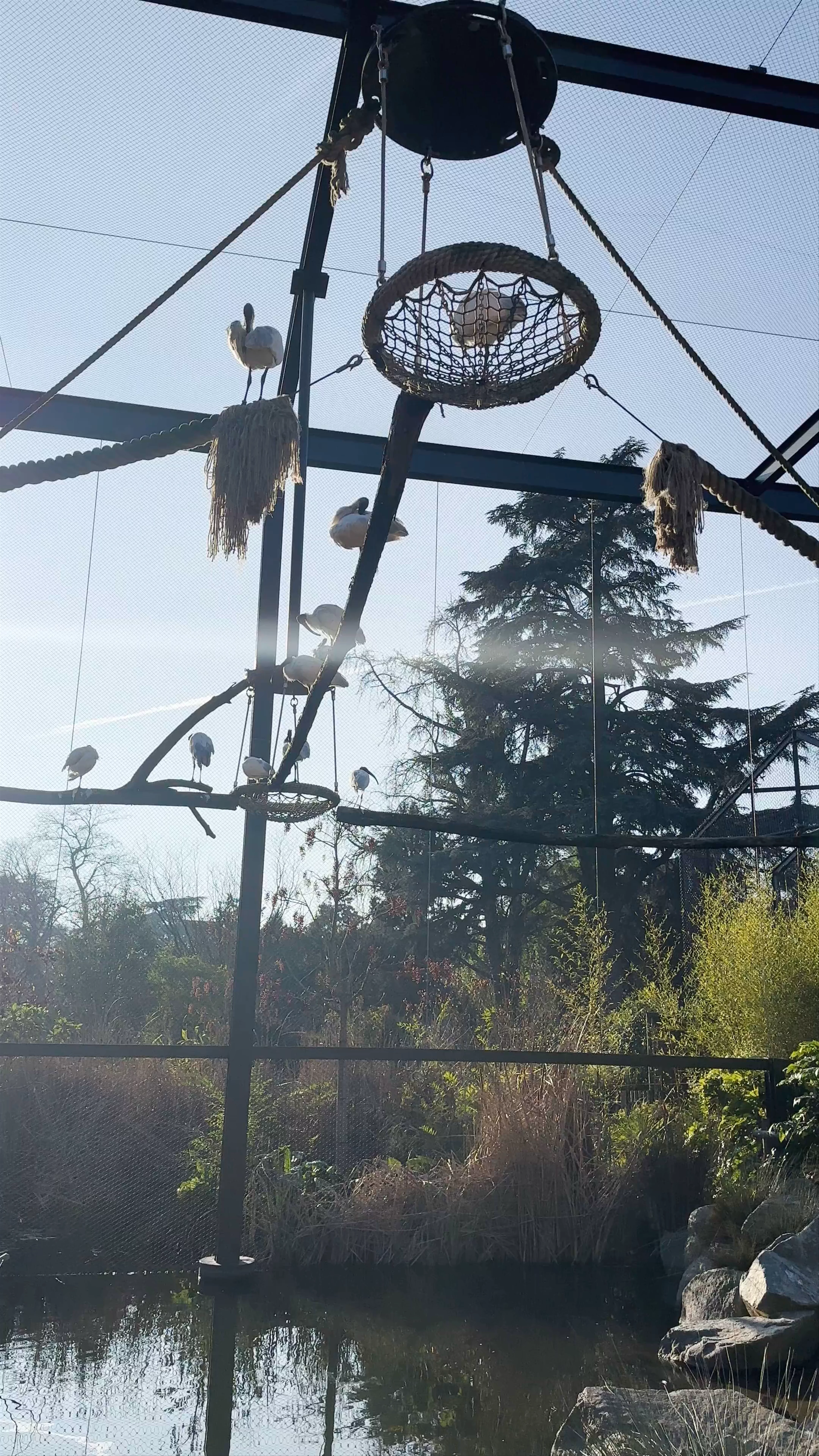 Zoo de Lyon, Parc de la Tête d'Or, Allée de l'Orangerie