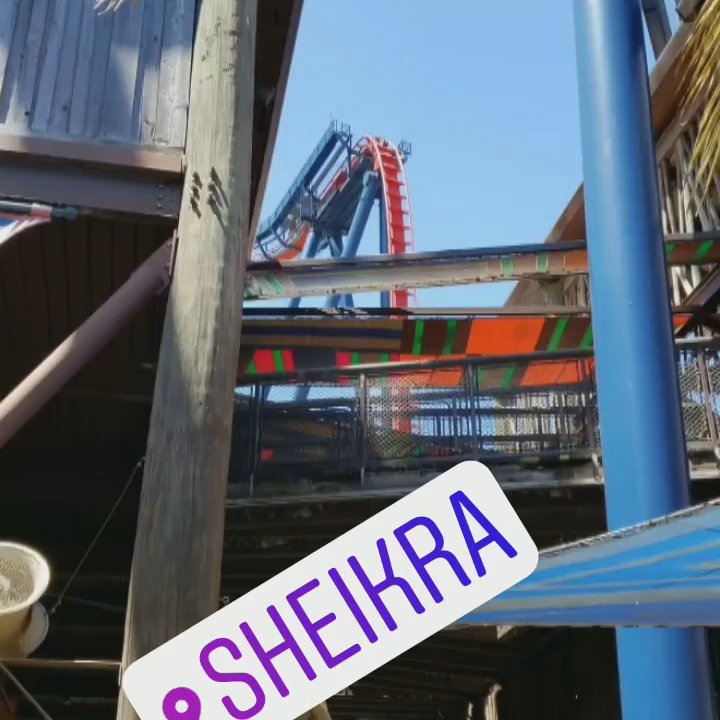 SHEIKRA - Updated May 2026 - 46 Photos & 56 Reviews - 10165 N McKinley ...