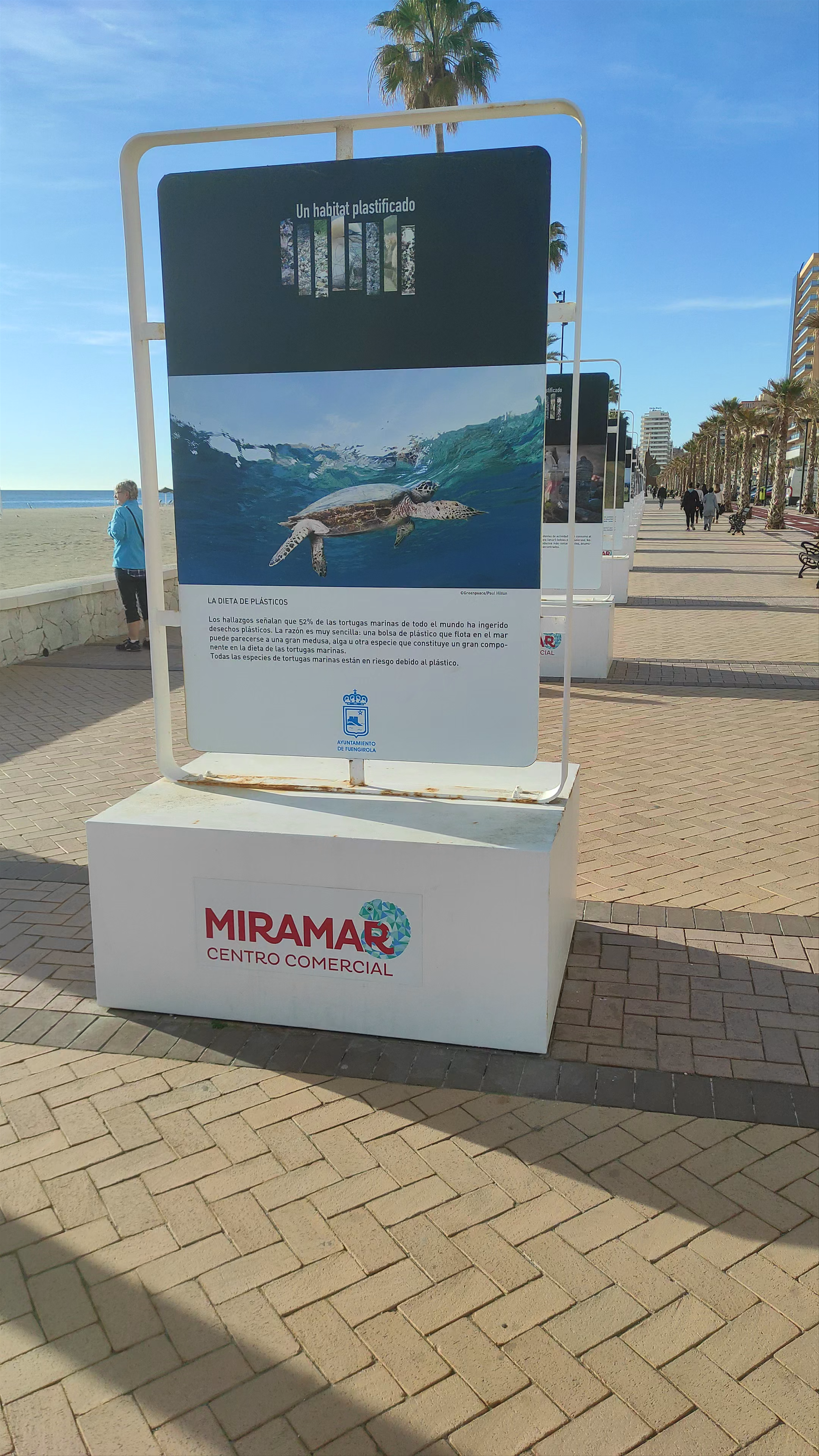 Paseo Marítimo Rey de España: Coastal Stroll and Marine Awareness in Fuengirola