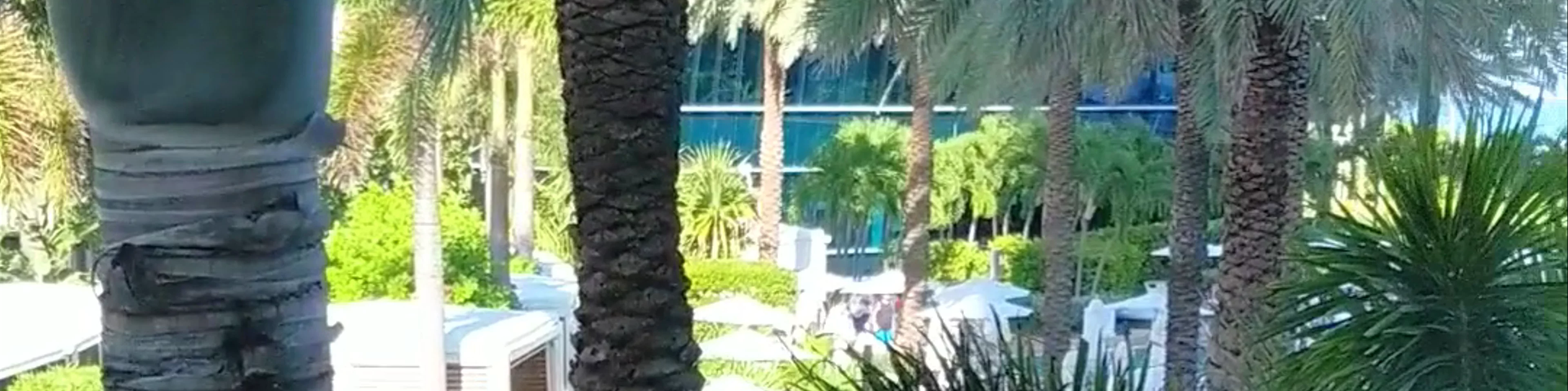 Fontainebleau Miami Beach Resort Pool