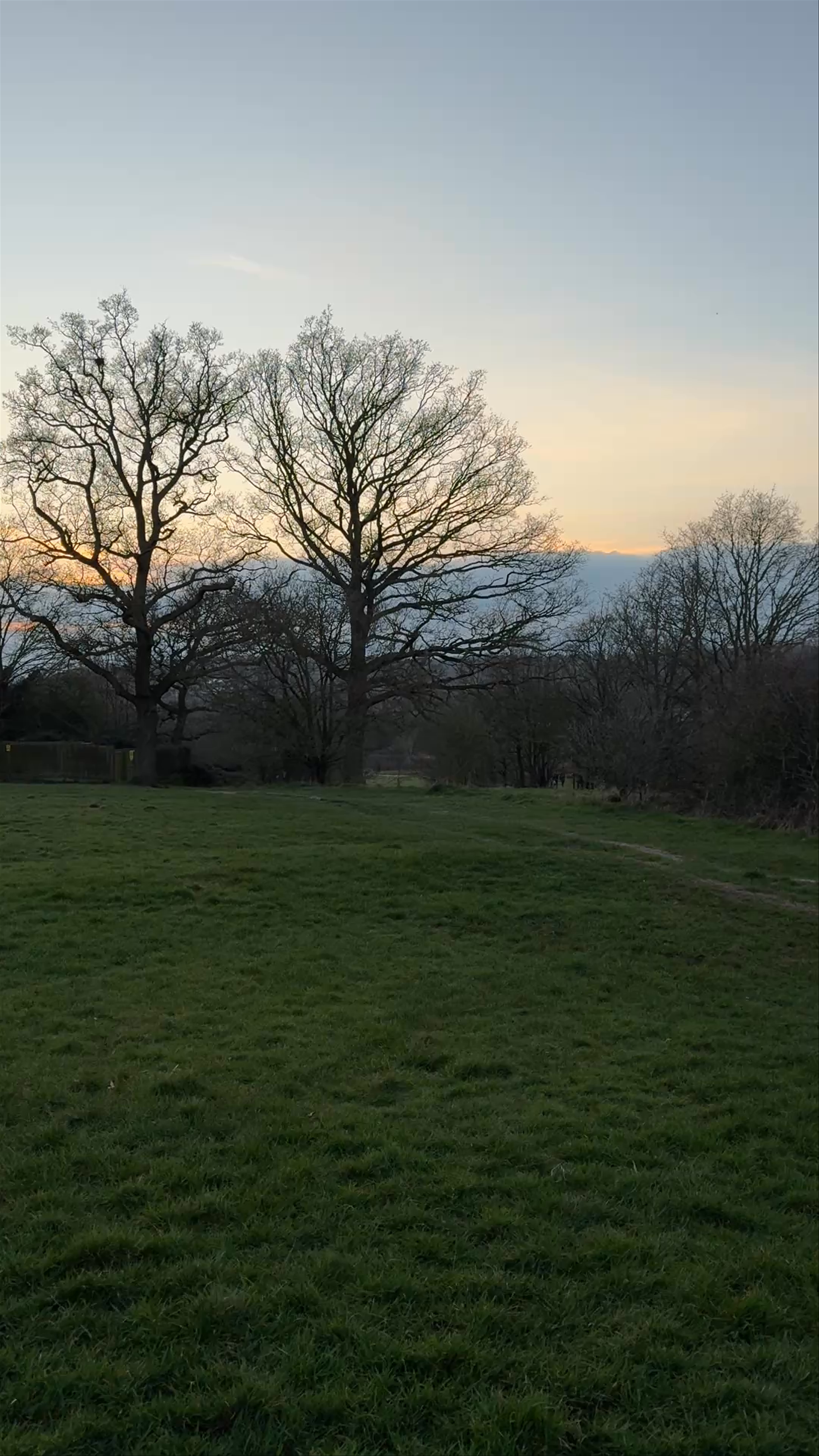 Queen Elizabeth's Hunting Lodge: A Tranquil Stroll in Historic London
