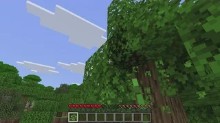 The wild Update - media 62