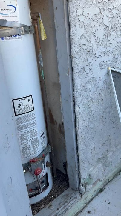 Leonardo's Pest Control - Pest Control Near Me
