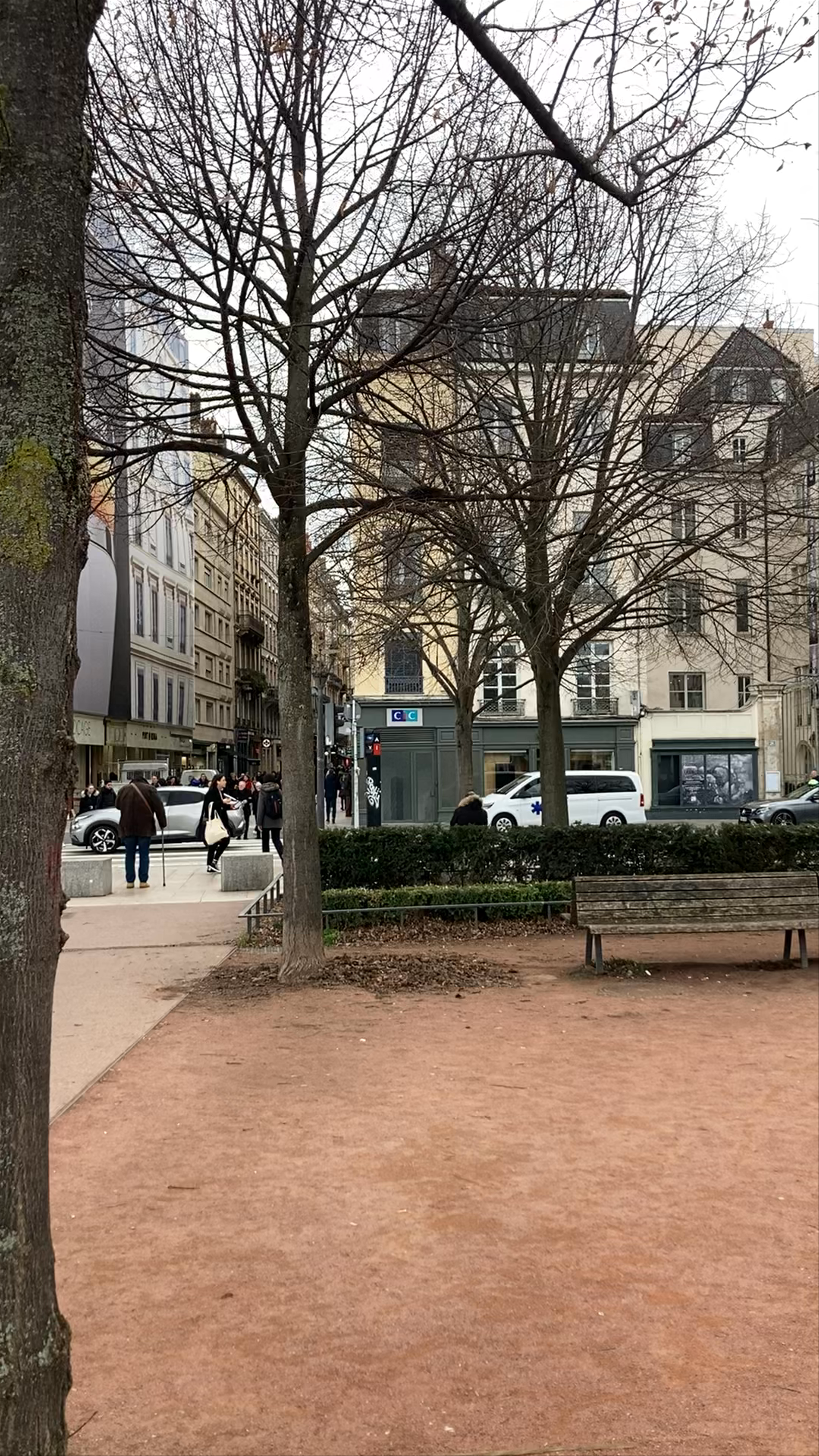 Chilly Winter Stroll at Place Bellecour, Lyon