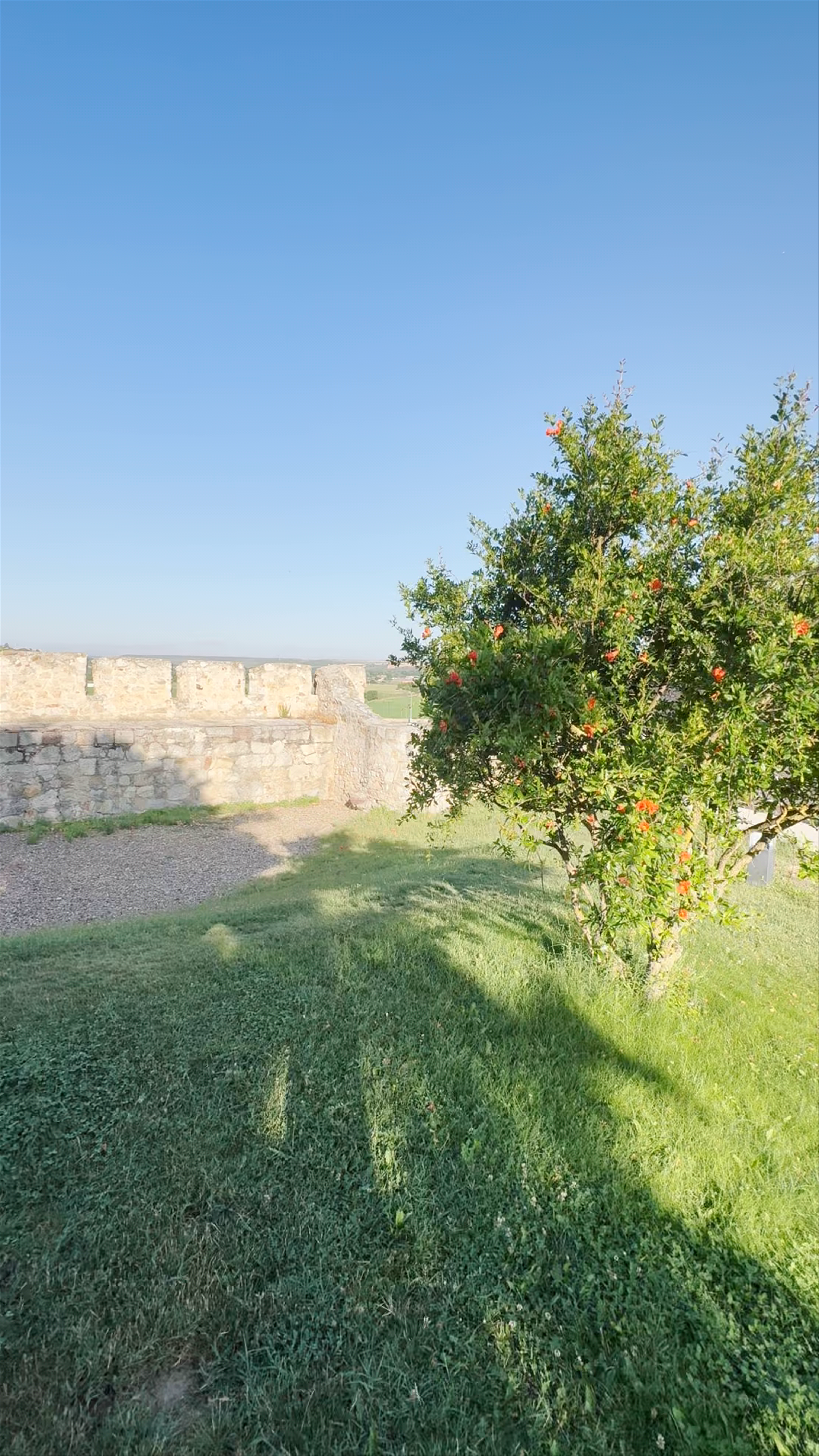 Zamora Castle