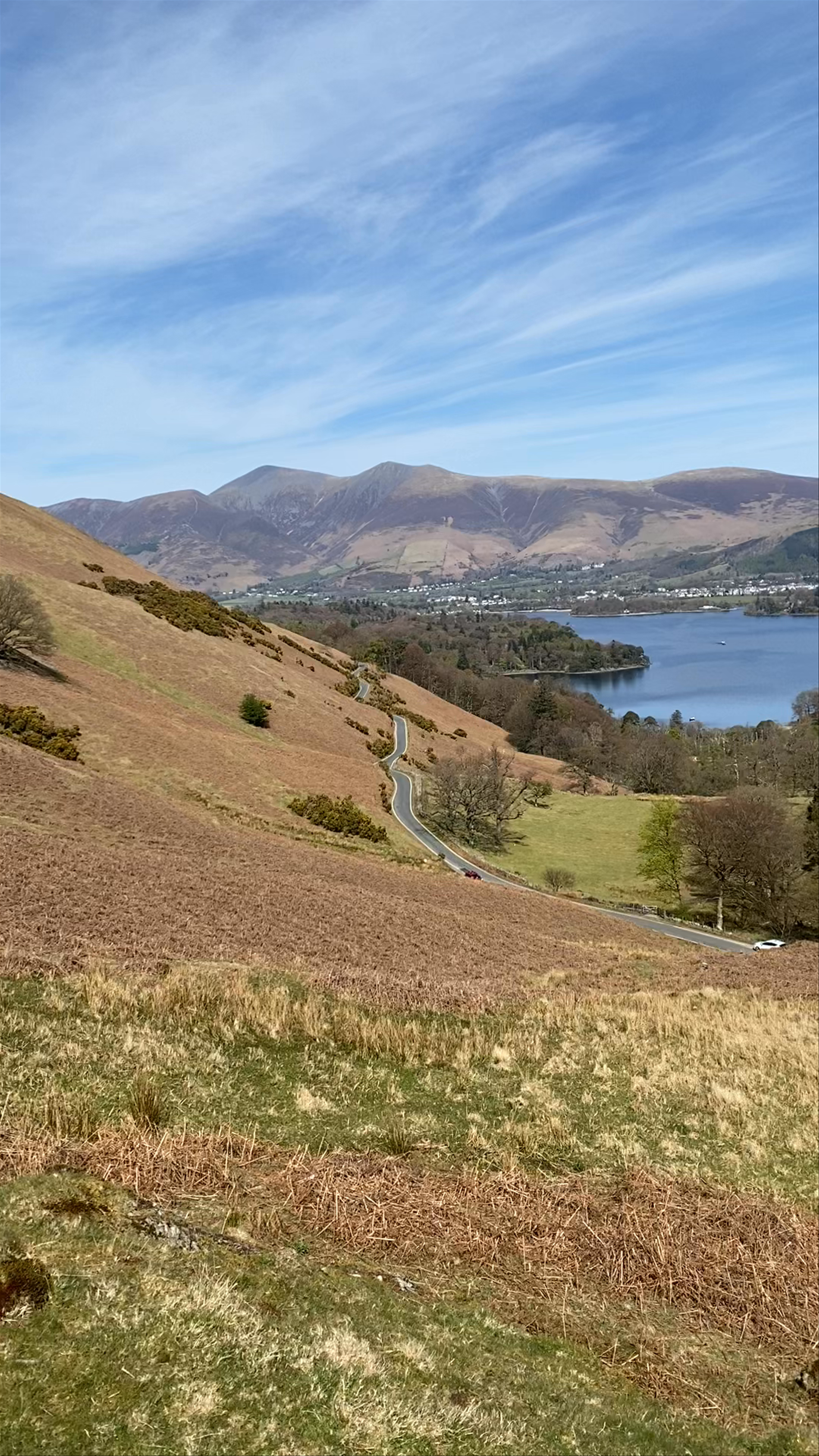 Catbells