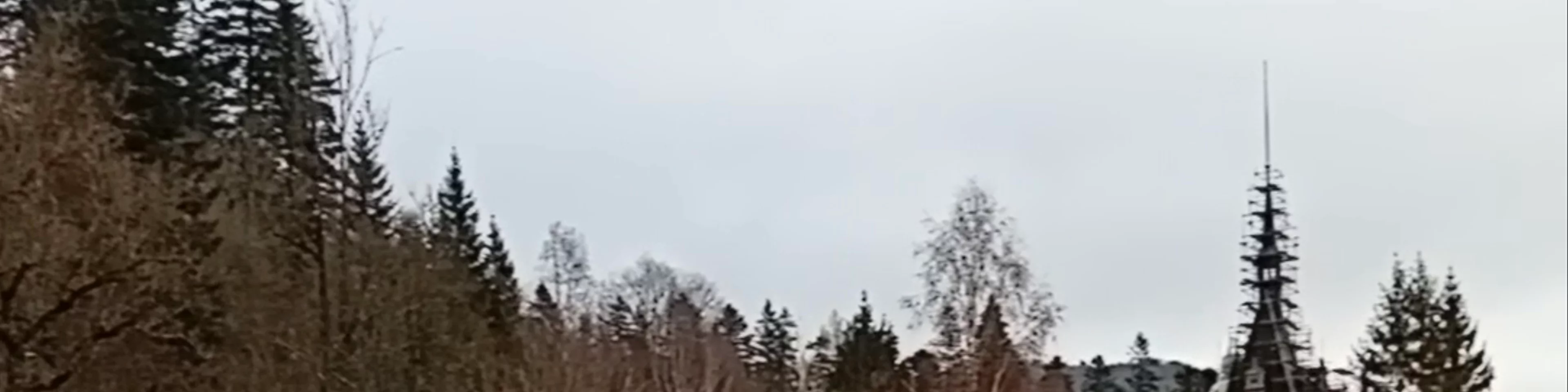 Peleș Castle