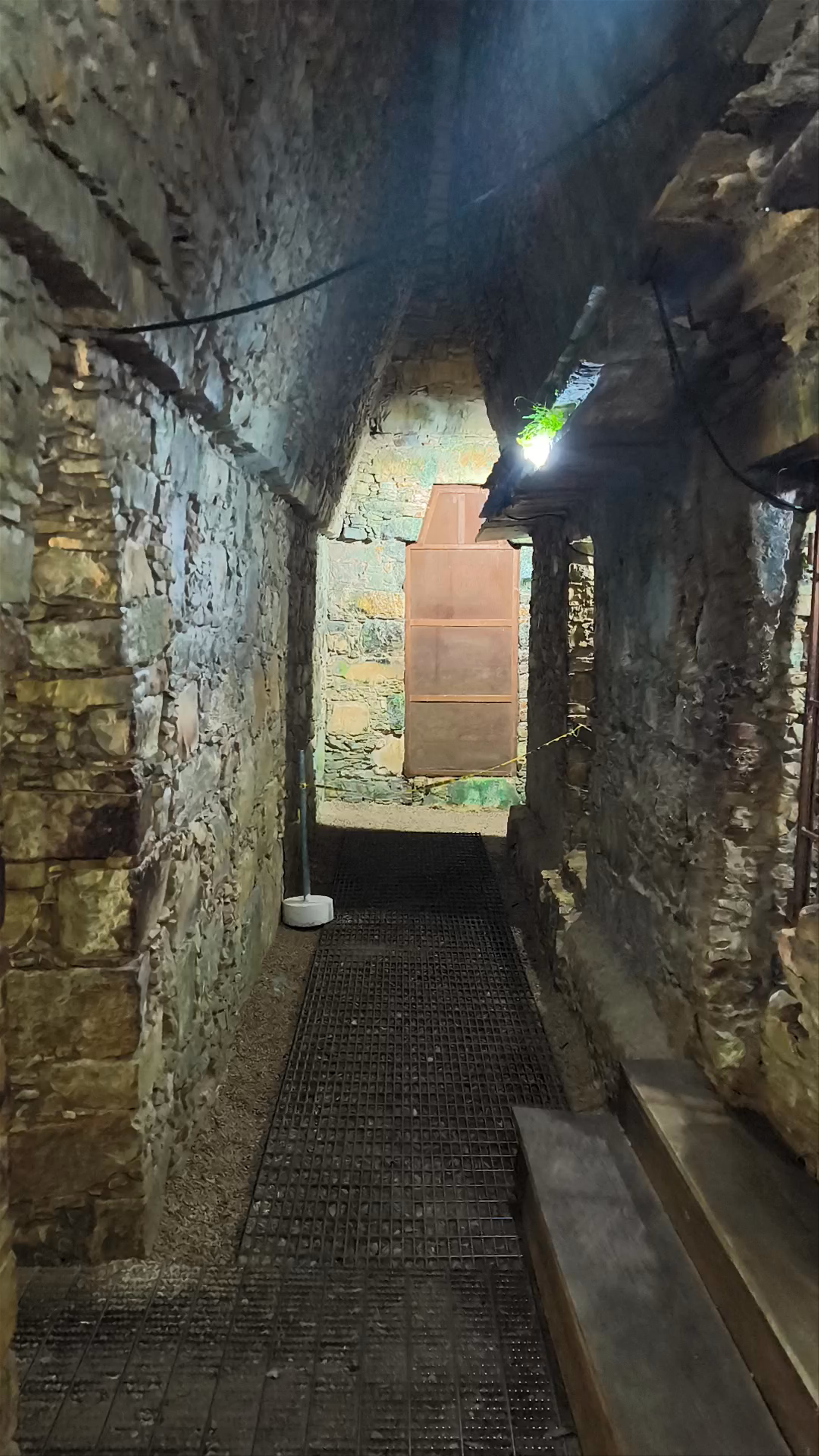 Exploring the Hidden Corridors of Templo de la Reina Roja, Palenque