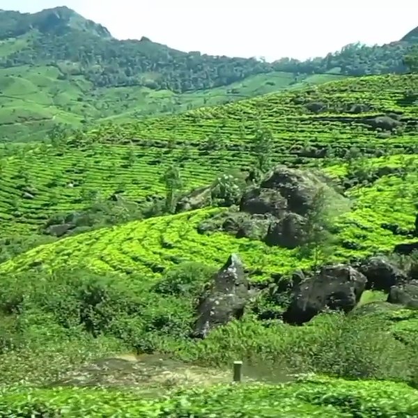 Photo of Idyllic Hillstation 