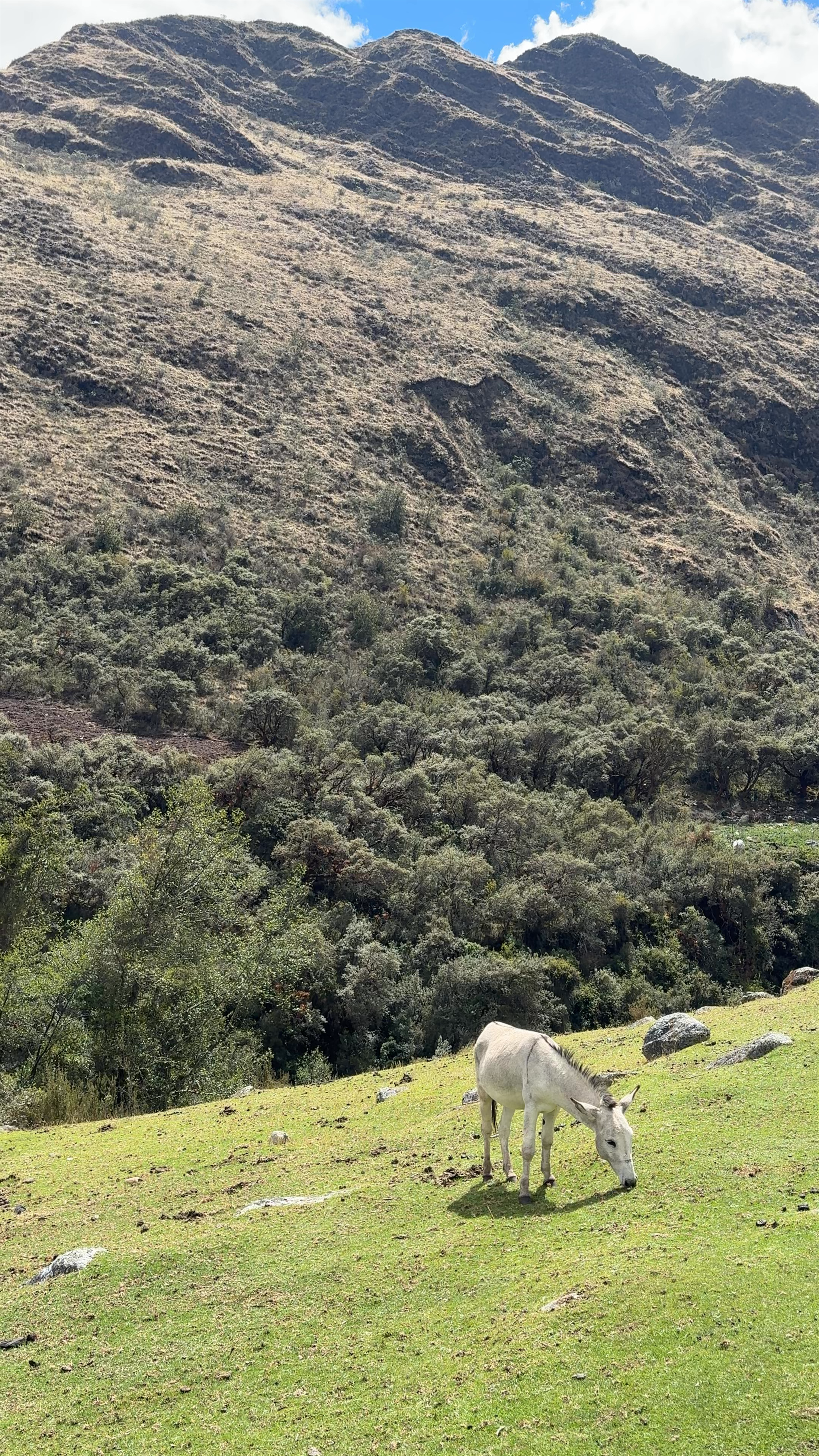 Mountain Serenity in Vaquería, Áncash, Peru