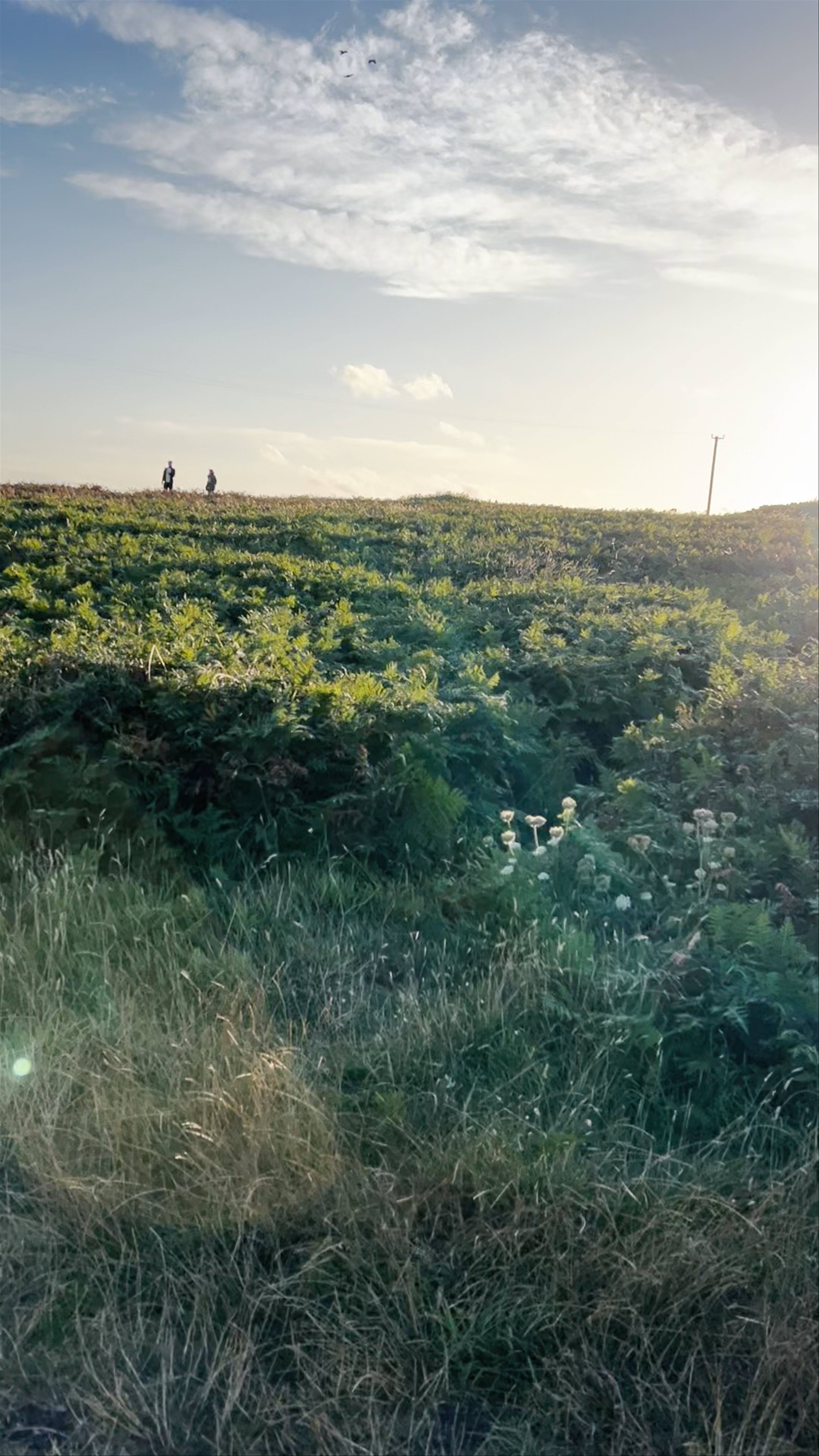 Howth Cliff Walk: Breathtaking Coastal Hike Near Dublin