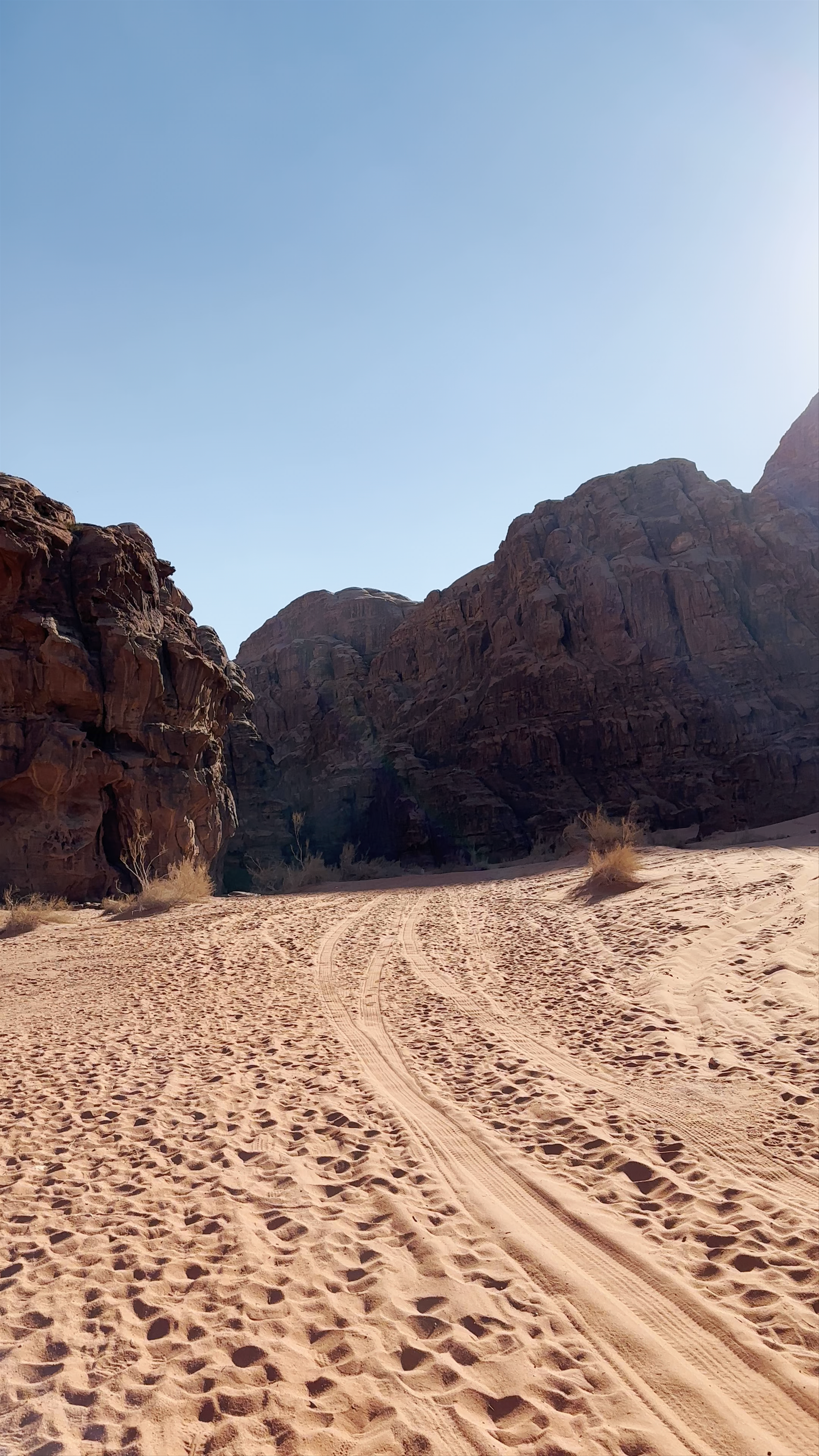 Wadi Rum Protected Area