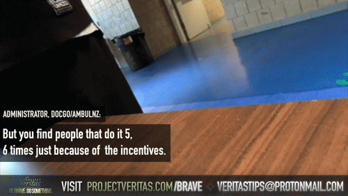 Video Thumbnail Loop