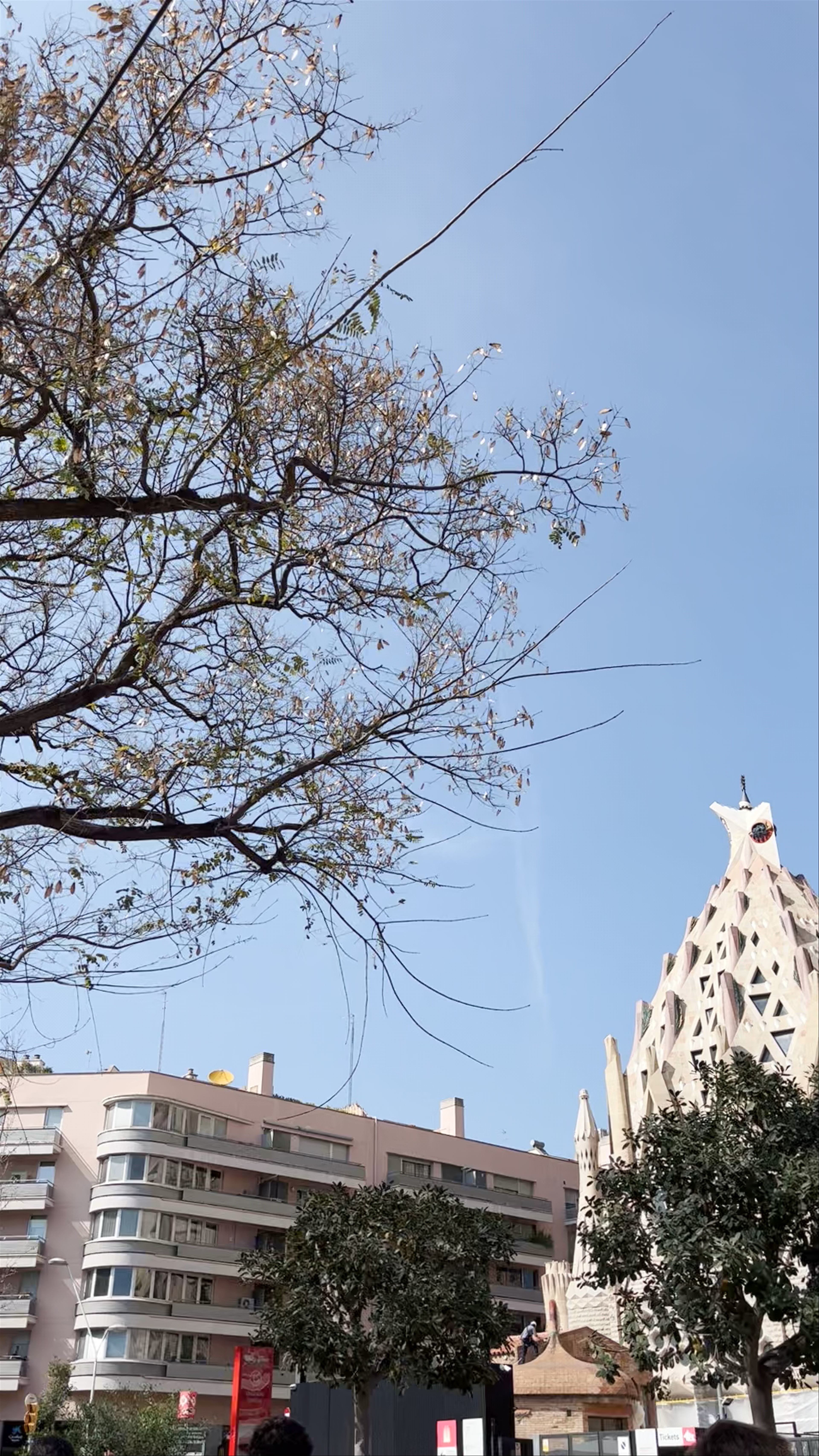 Sagrada Familia