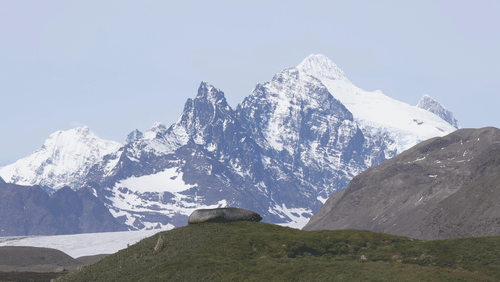 Untitled Work animated gif