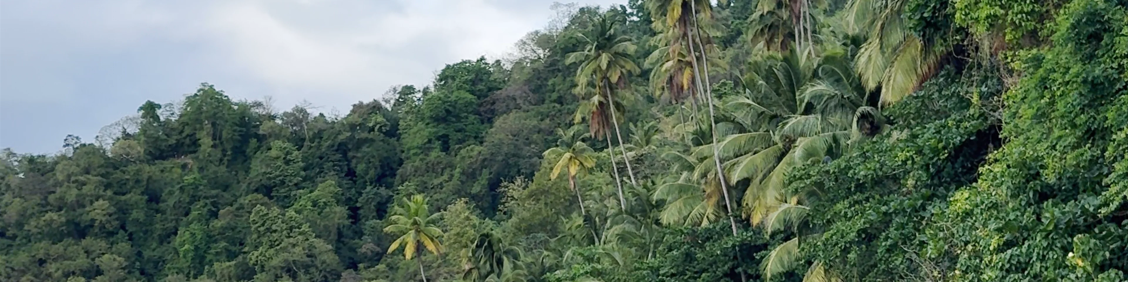 anse couleuvre