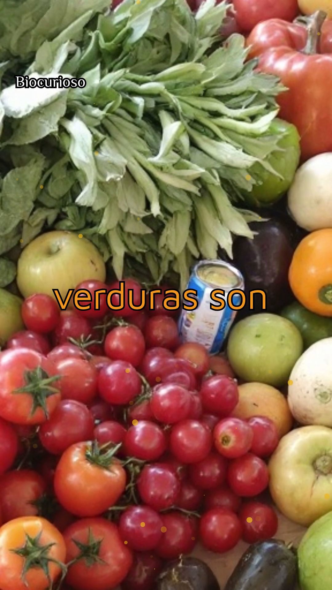 ¿Es posible vivir sin comer frutas y verduras? Descubre las consecuencias.