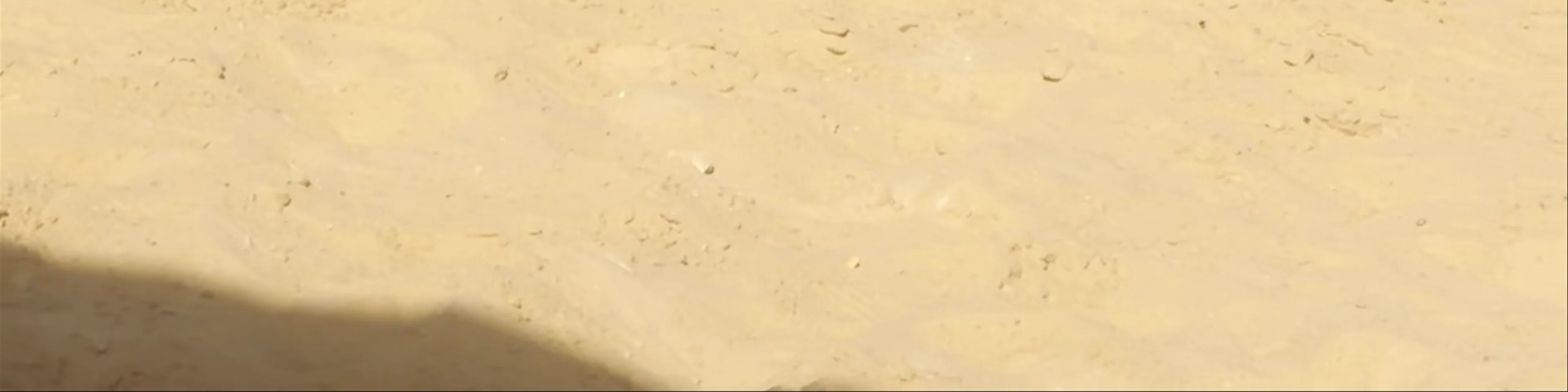 Wadi El Rayan