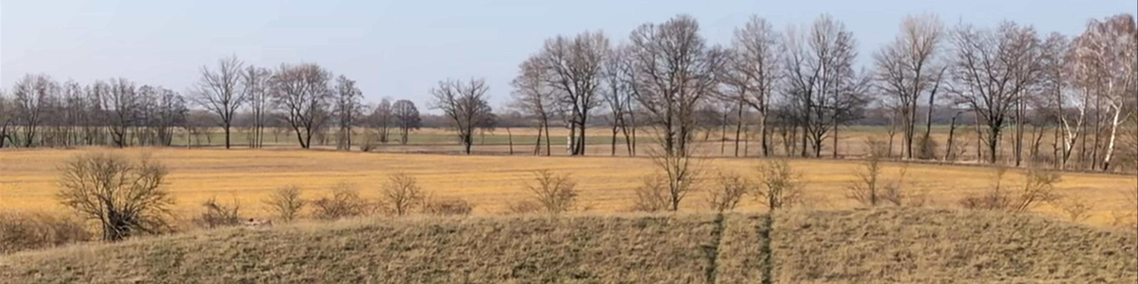 Freesdorfer Borchelt