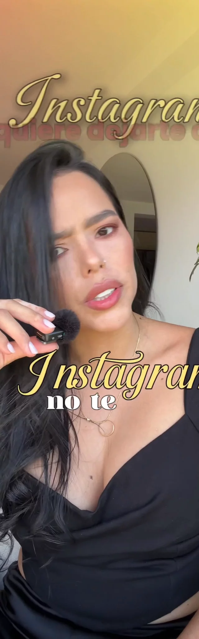 Contenido del creador