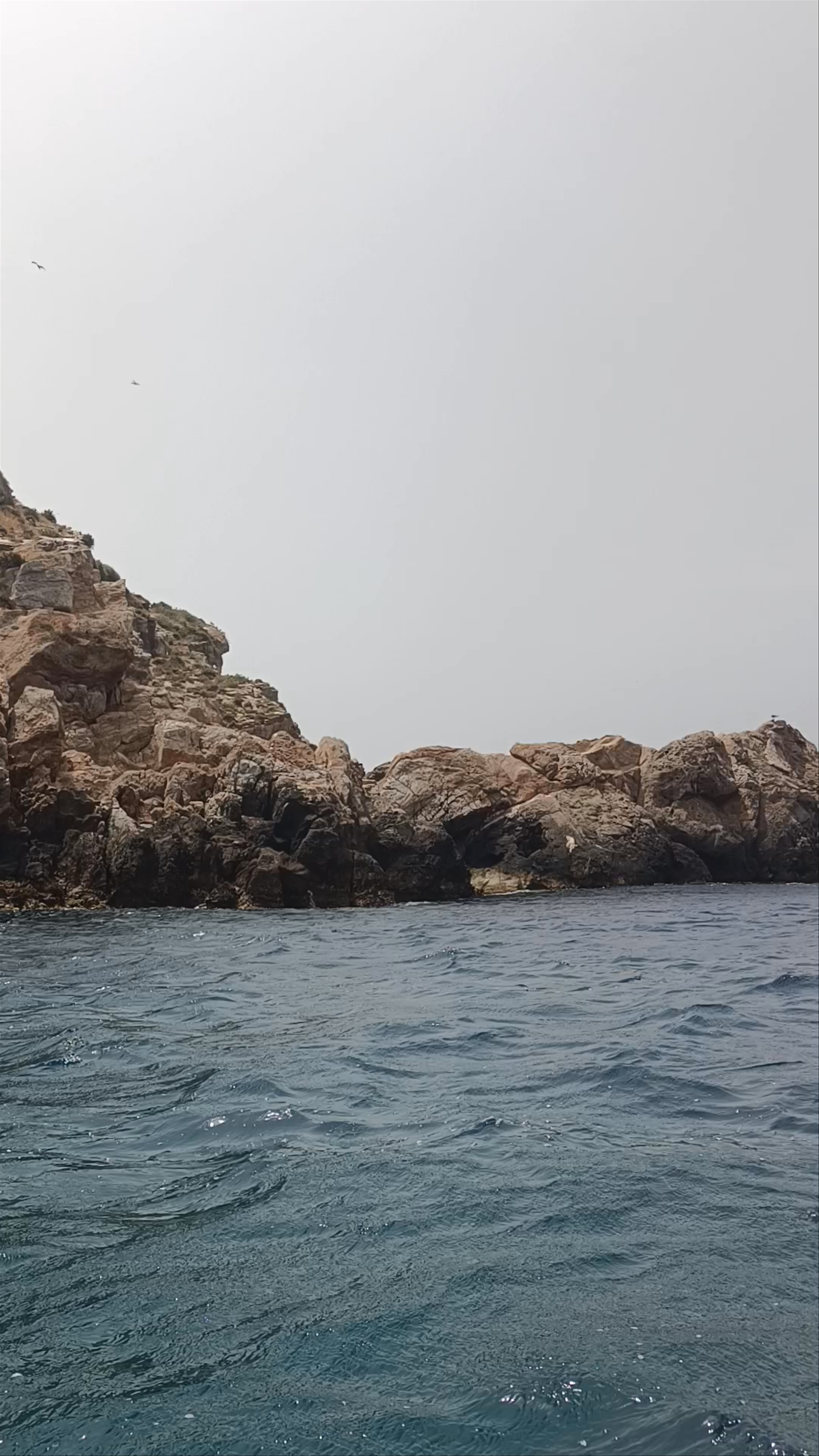 Isla de las Palomas