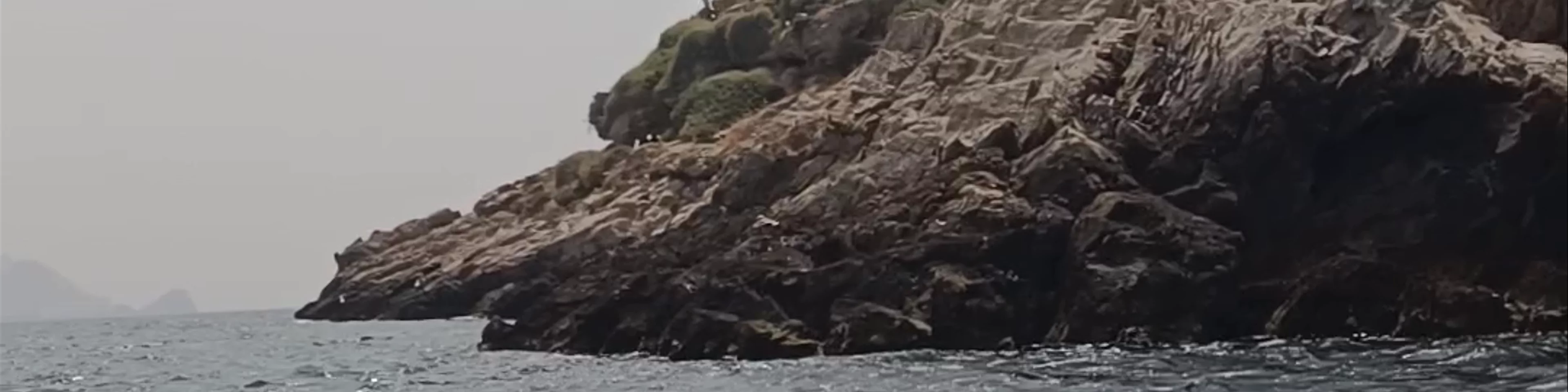 Isla de las Palomas