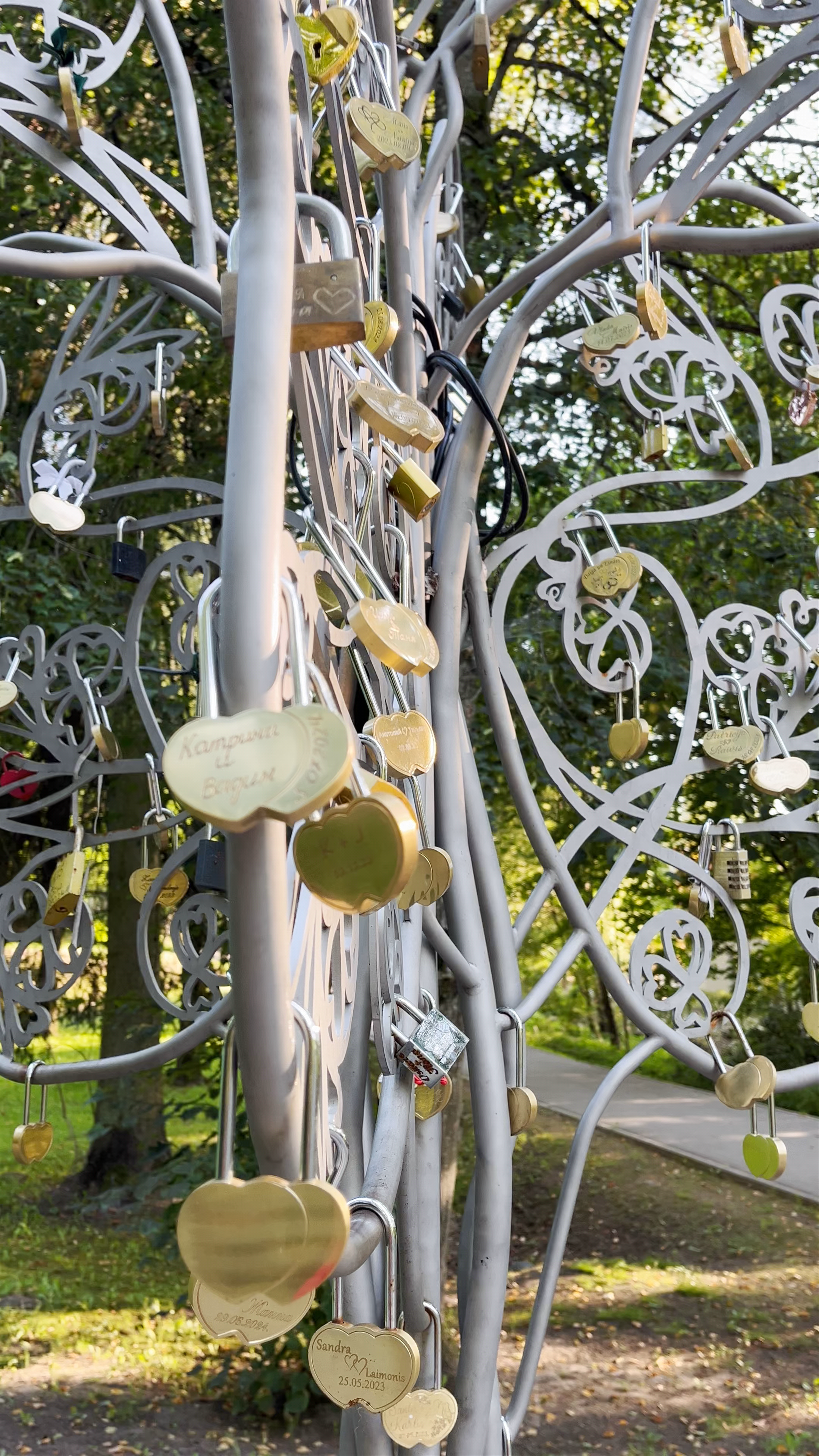 Tree of Love in Ogre, Latvia – A Symbol of Eternal Bonds