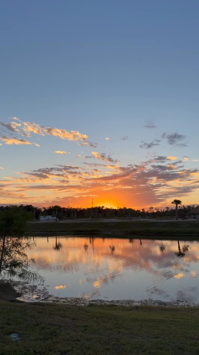 Palm Breeze Resort - Palm Breeze Luxury RV Resort of Punta Gorda. - RV Parks Near Me - Punta Gorda, Florida