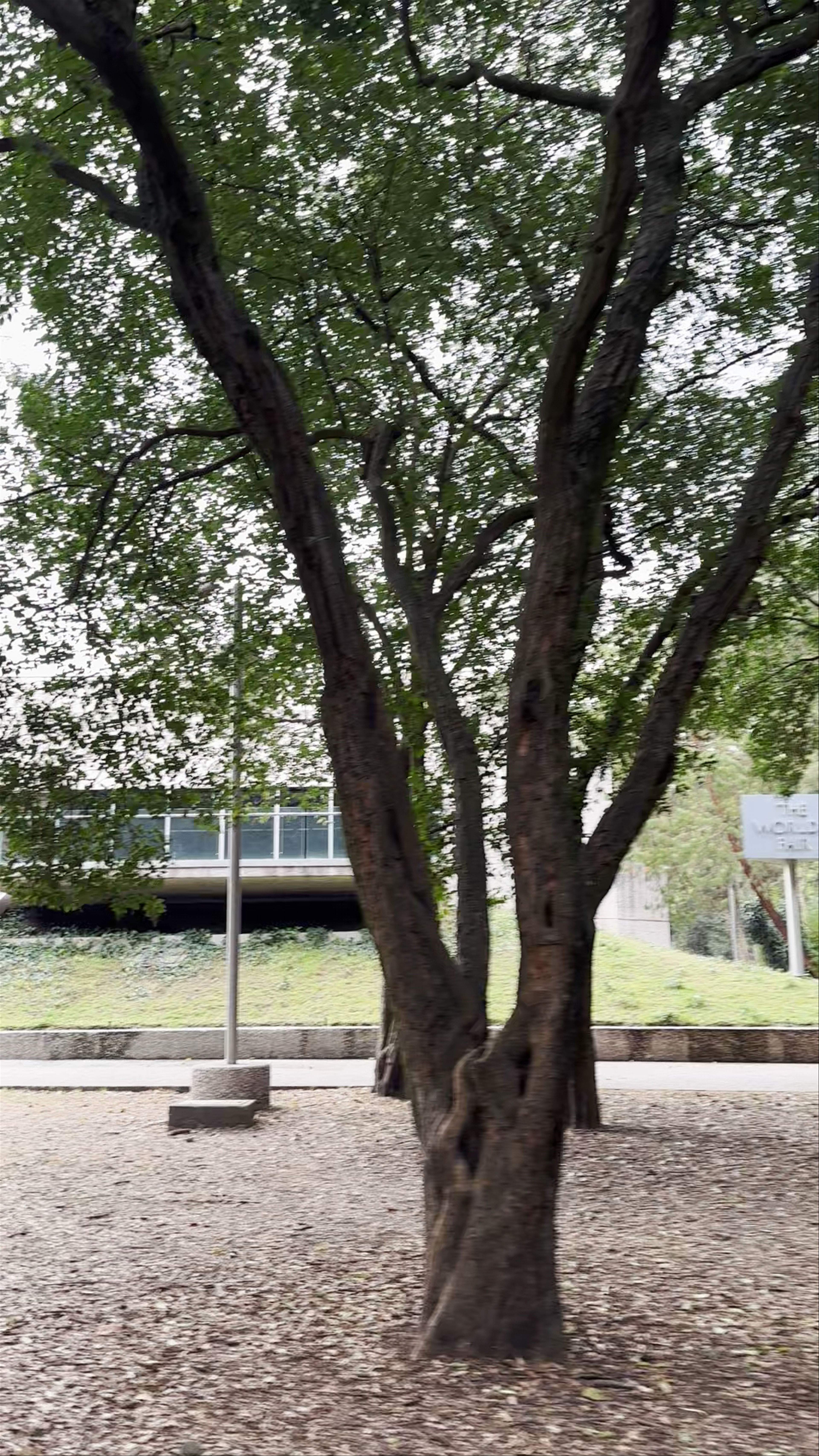 Museo Tamayo Arte Contemporáneo