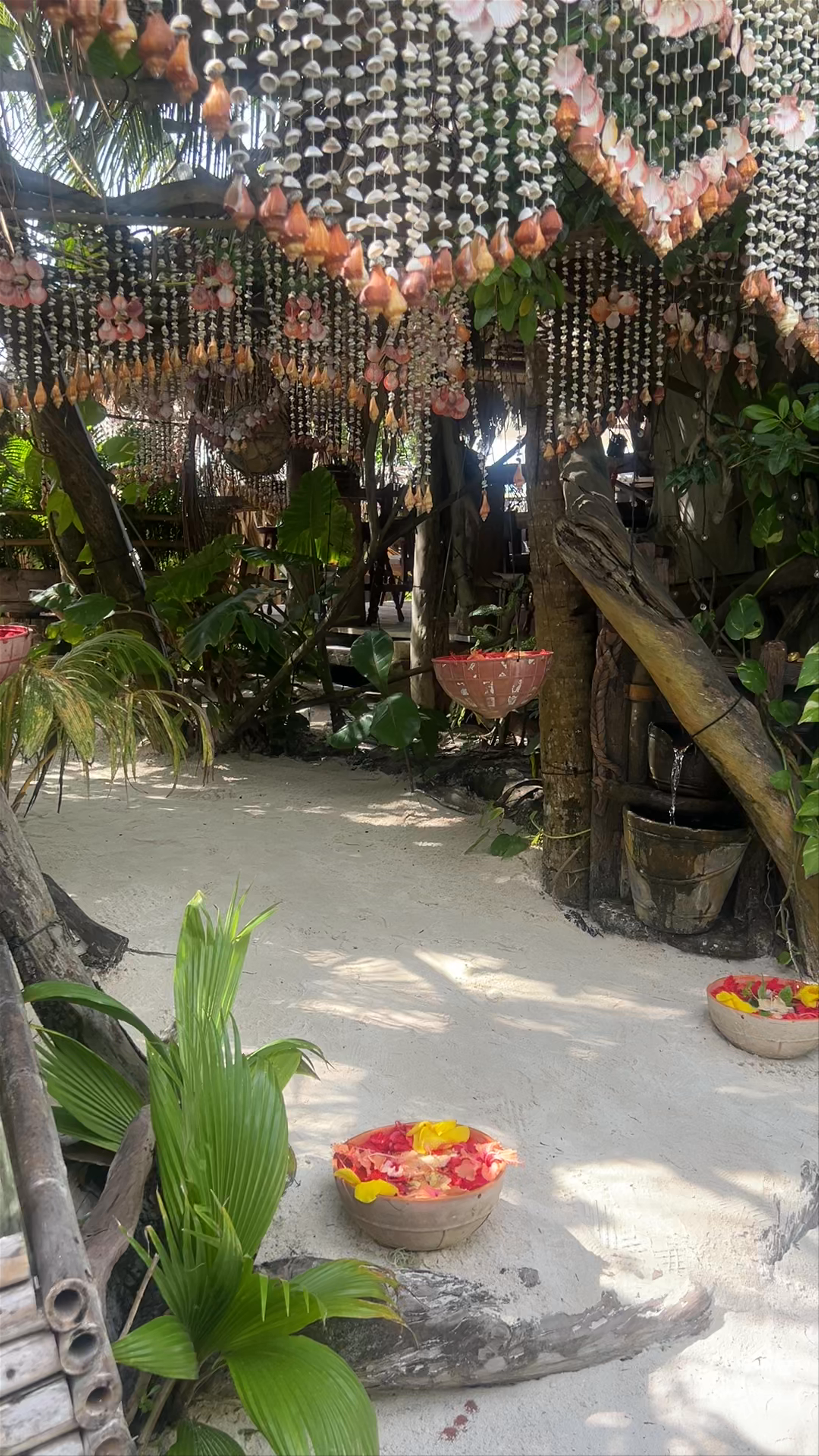 Natural Bar Grill & Drinks